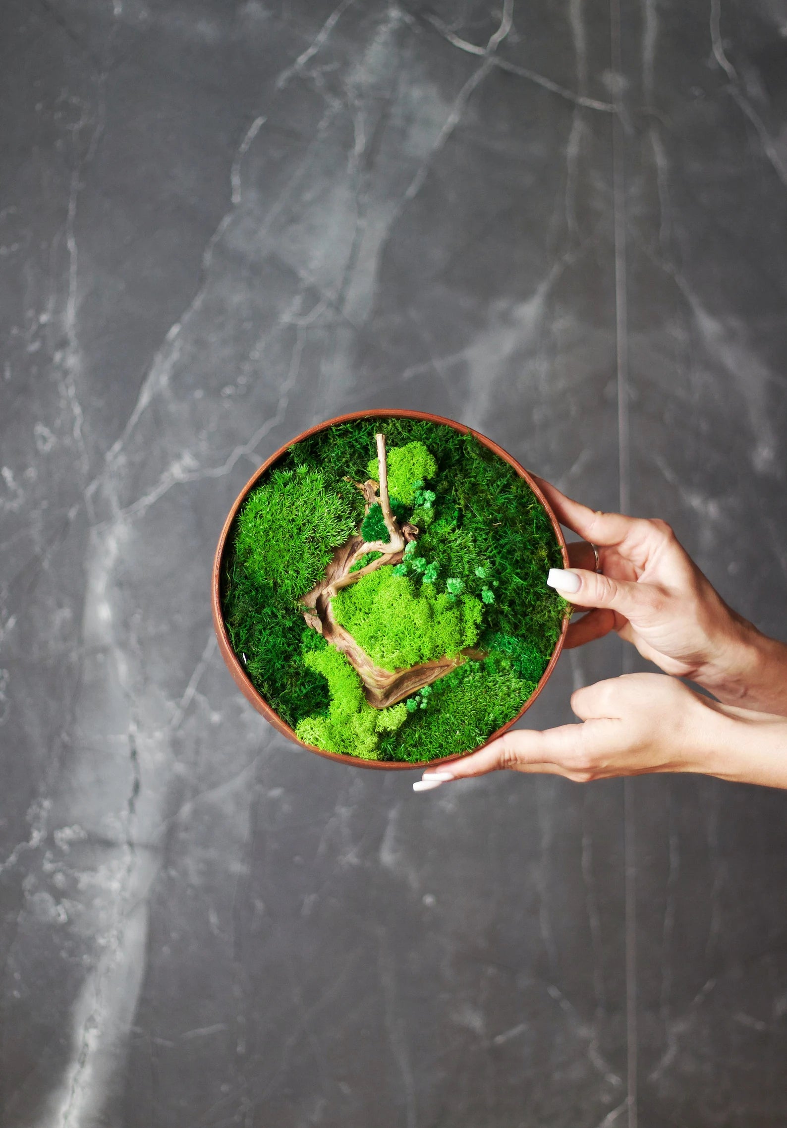 Circle Moss Wall Art – Handmade Wooden Wall Decor for Home & Office