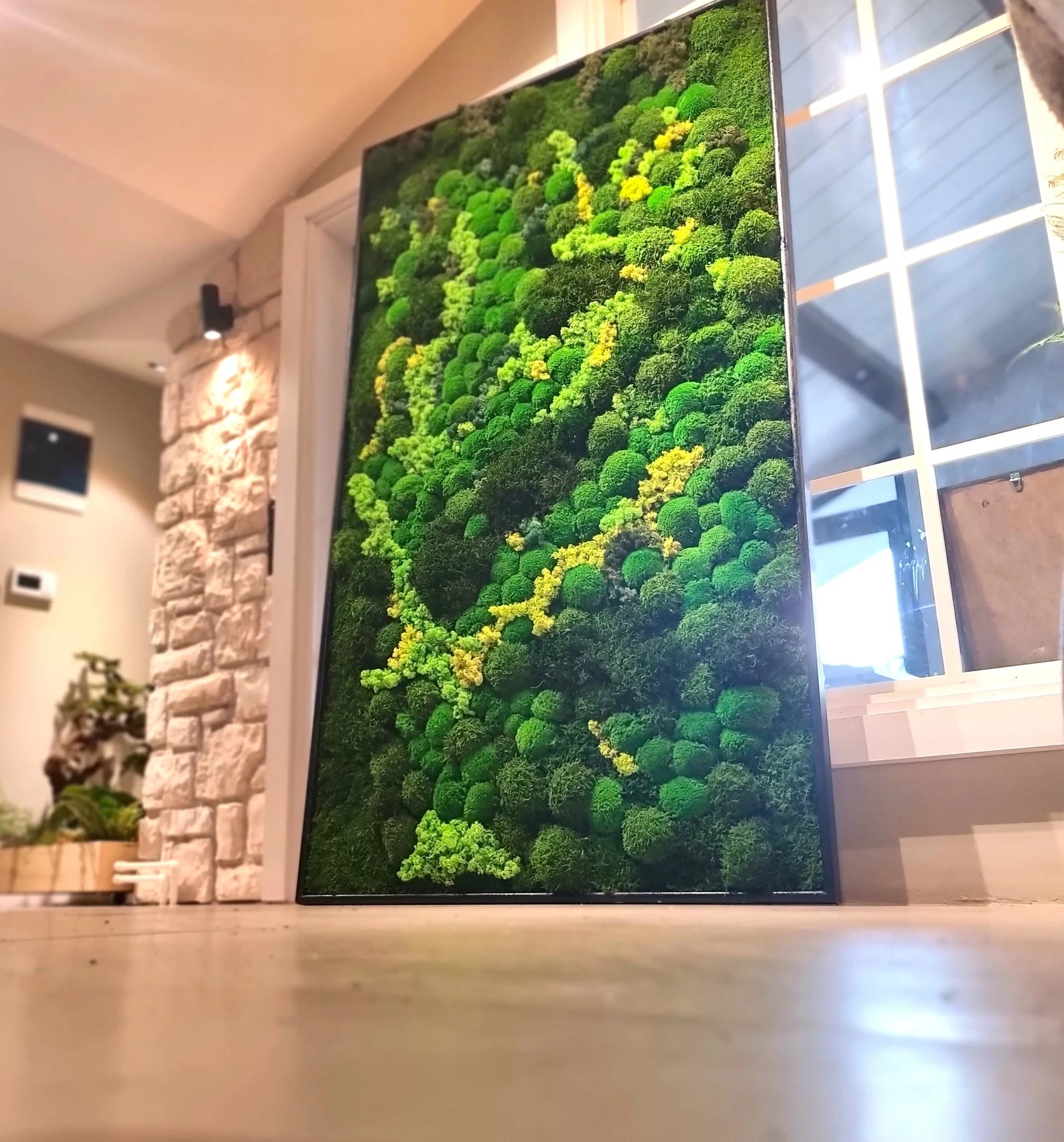 Preserved Moss Wall Art – Eco-Friendly Botanical Decor | Vertical Garden Frame for Home & Office