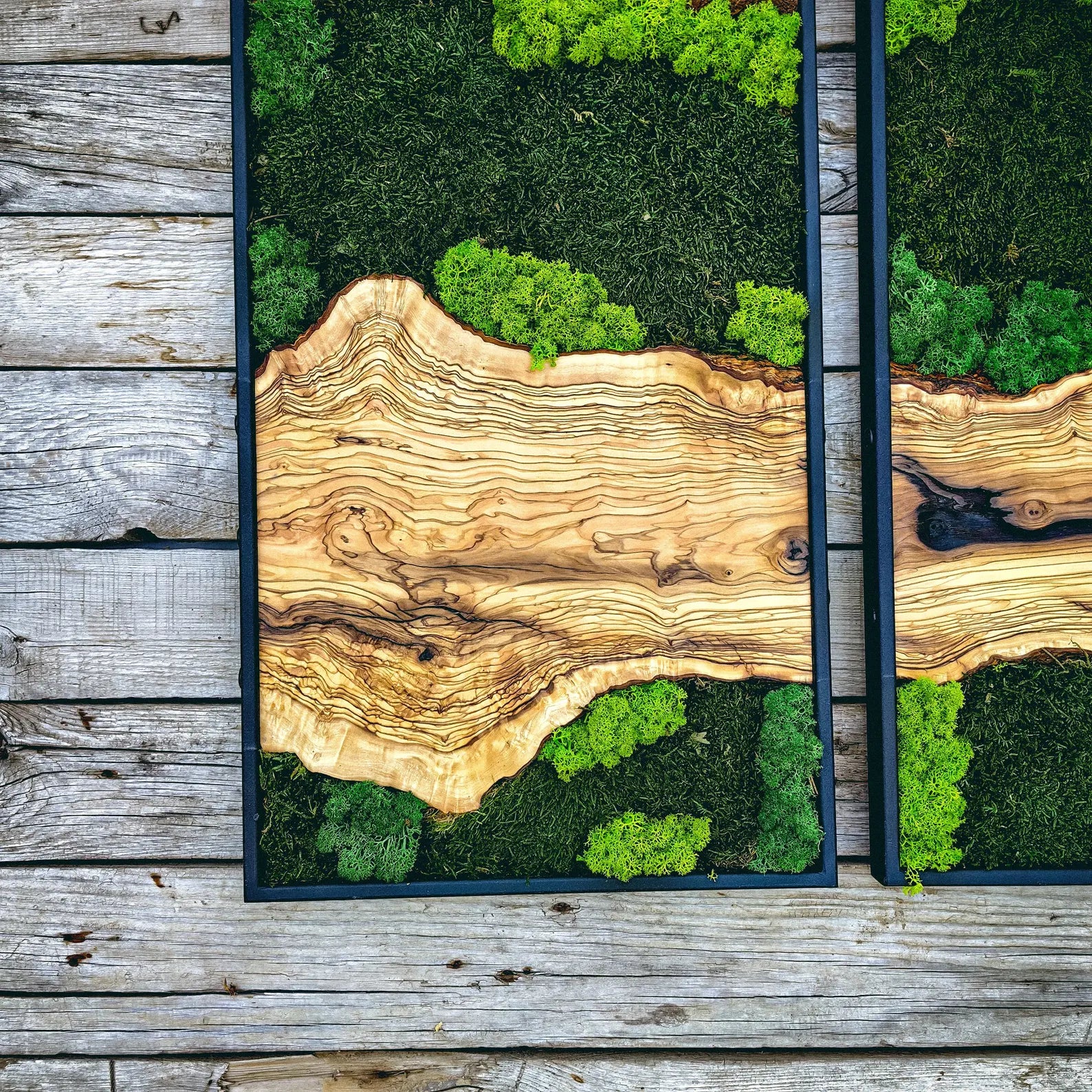 Moss Wall Art – Handmade Wood Frame Preserved Moss Wall Decor for Home or Office