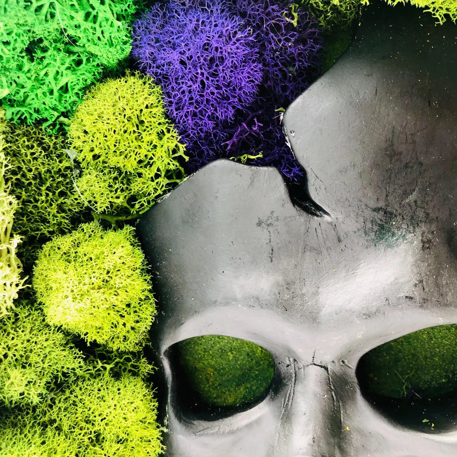 Skull Moss Wall Art – Framed Gothic Halloween Decor | Unique Floral Moss Artwork for Home