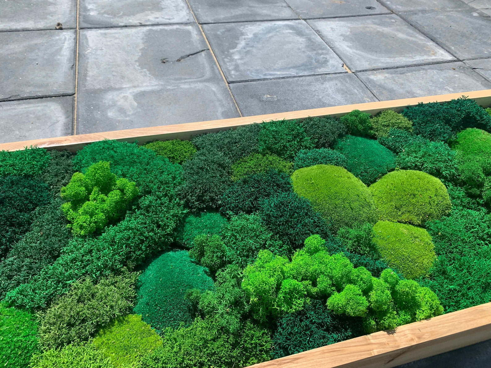 Moss Wall Art – Preserved Green Moss in Wooden Frame | Luxury Living Wall Decor