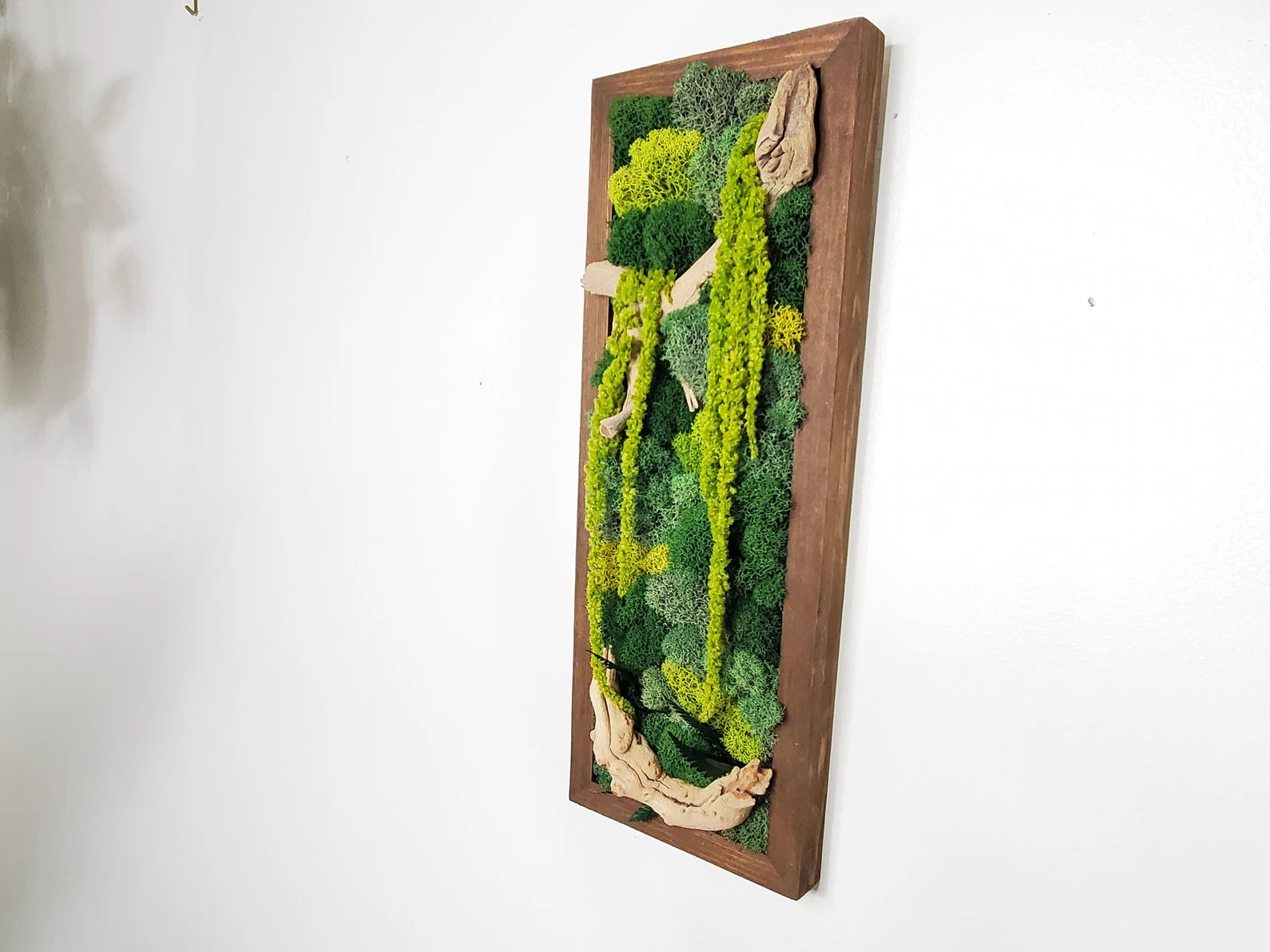 Boho Botanical Moss Wall Art – Natural Framed Hanging Display