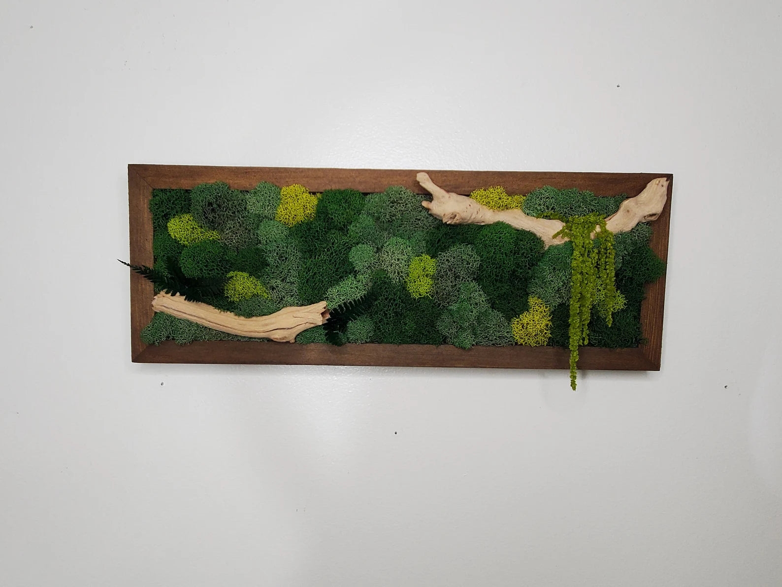 Boho Botanical Moss Wall Art – Natural Framed Hanging Display