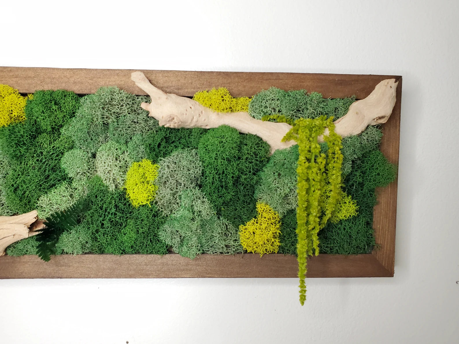 Boho Botanical Moss Wall Art – Natural Framed Hanging Display