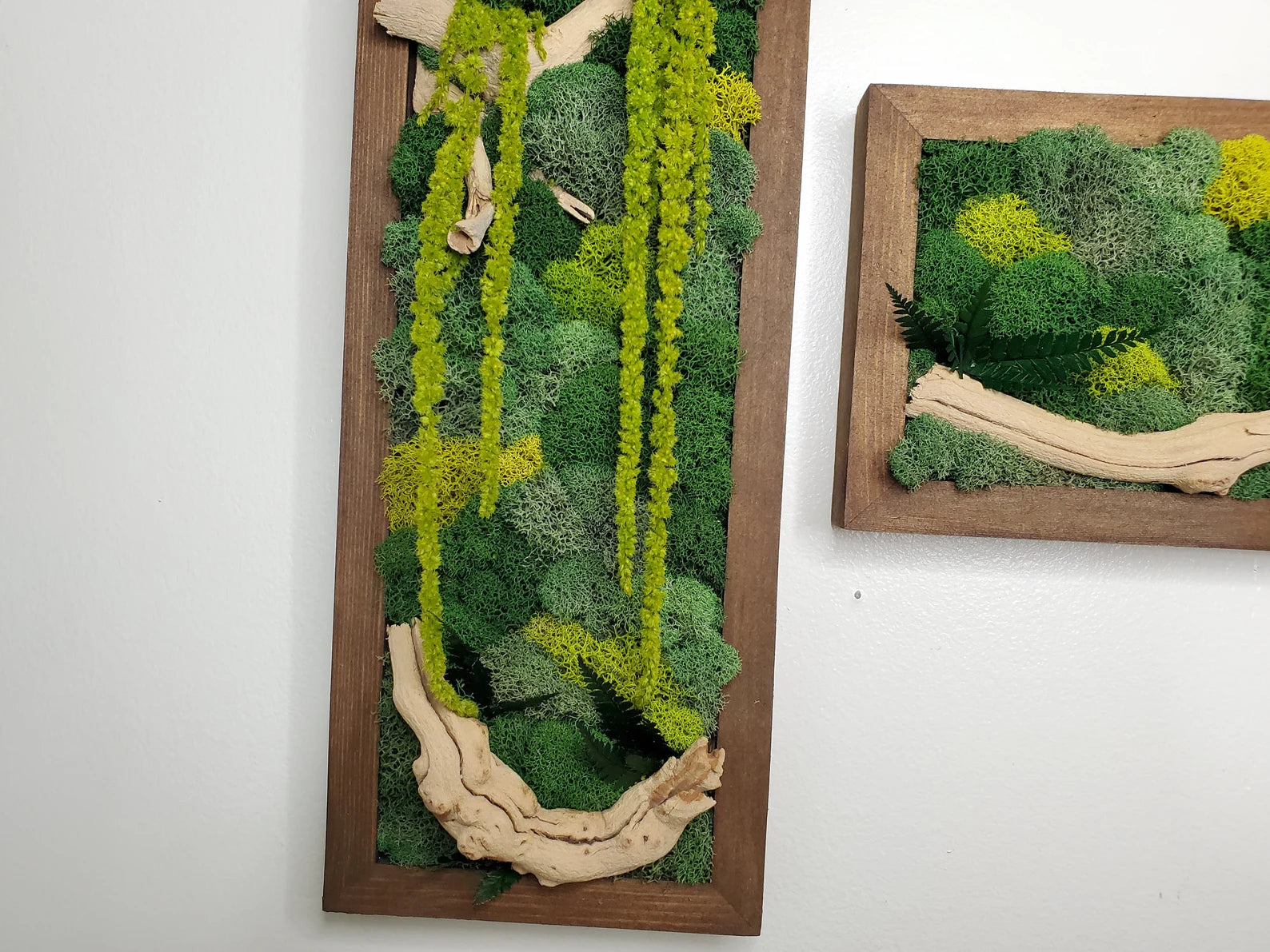 Boho Botanical Moss Wall Art – Natural Framed Hanging Display