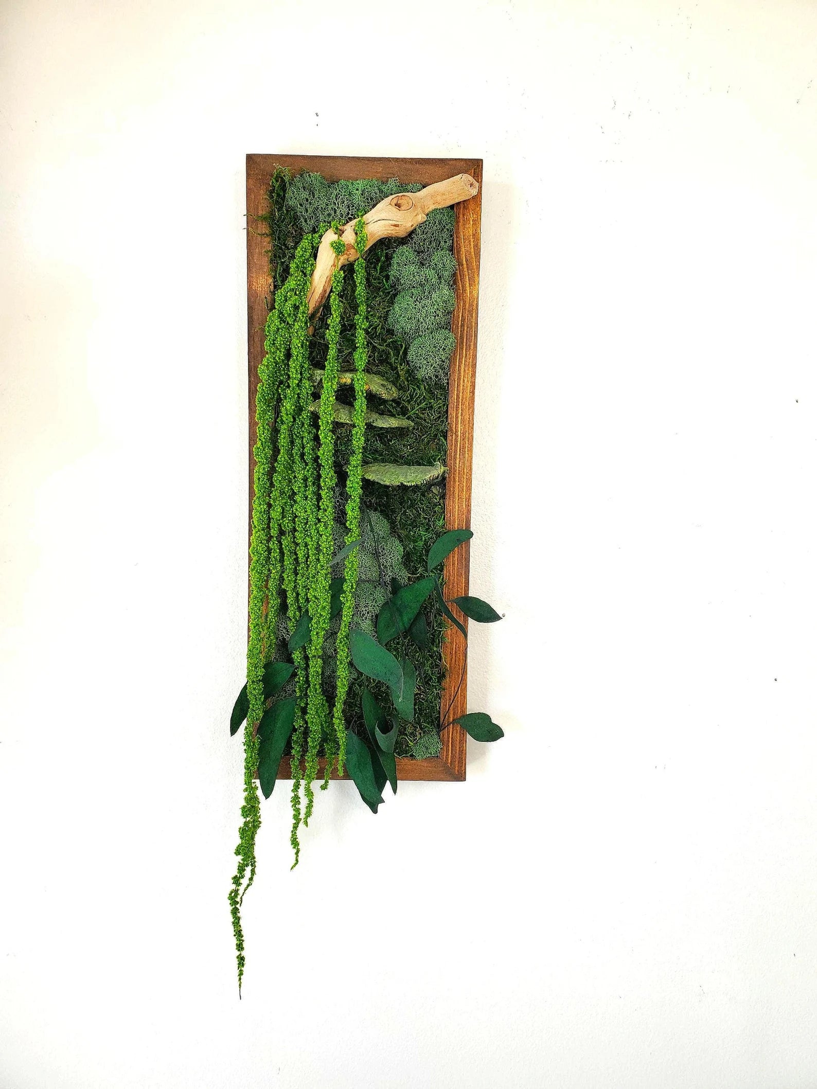 Moss Wall Decor – Boho Forest Preserved Art with Mushrooms & Wood Frame