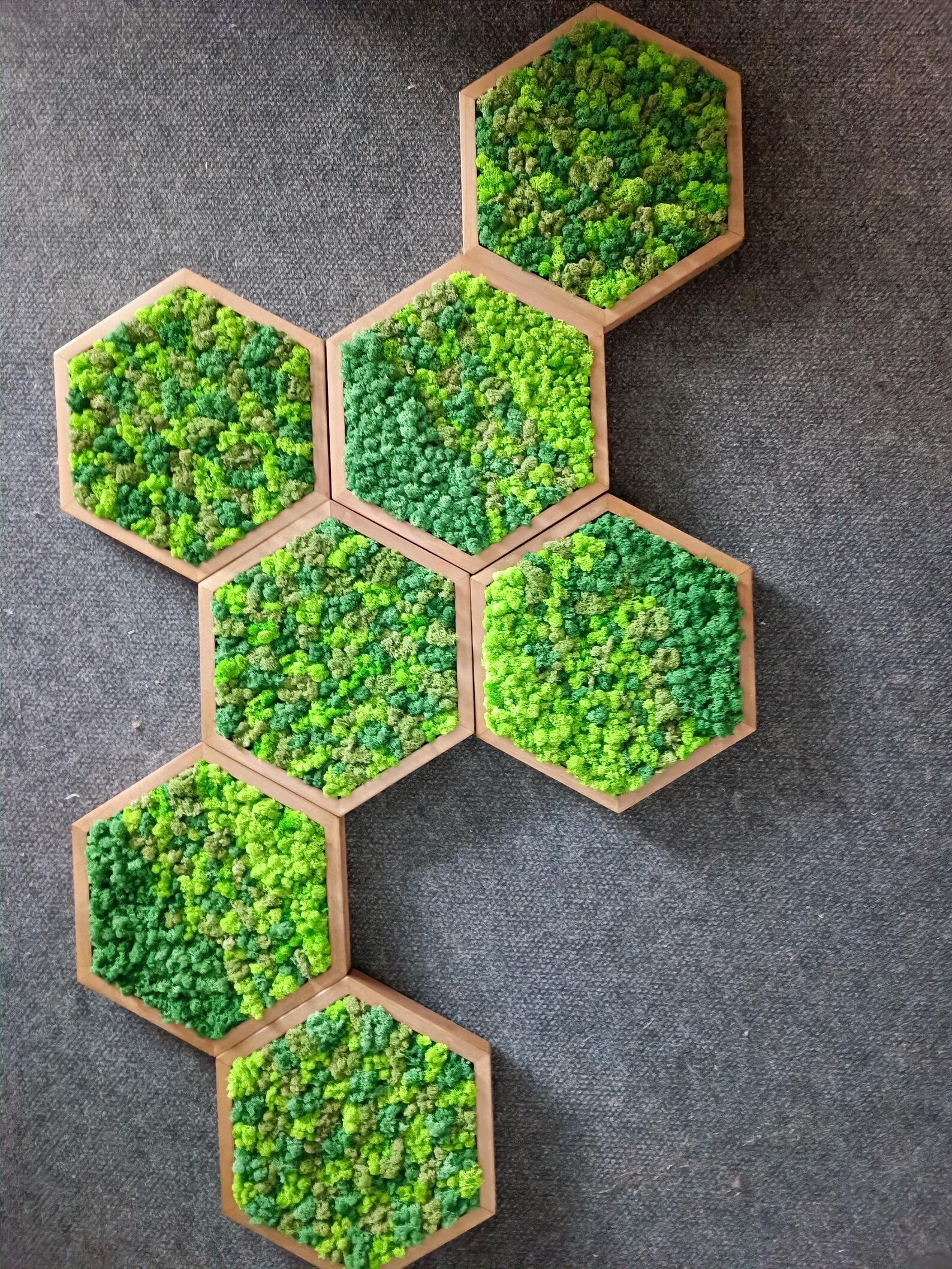 Honeycomb Moss Wall Art – Handmade Wooden Hexagon with Preserved Plants (30cm)