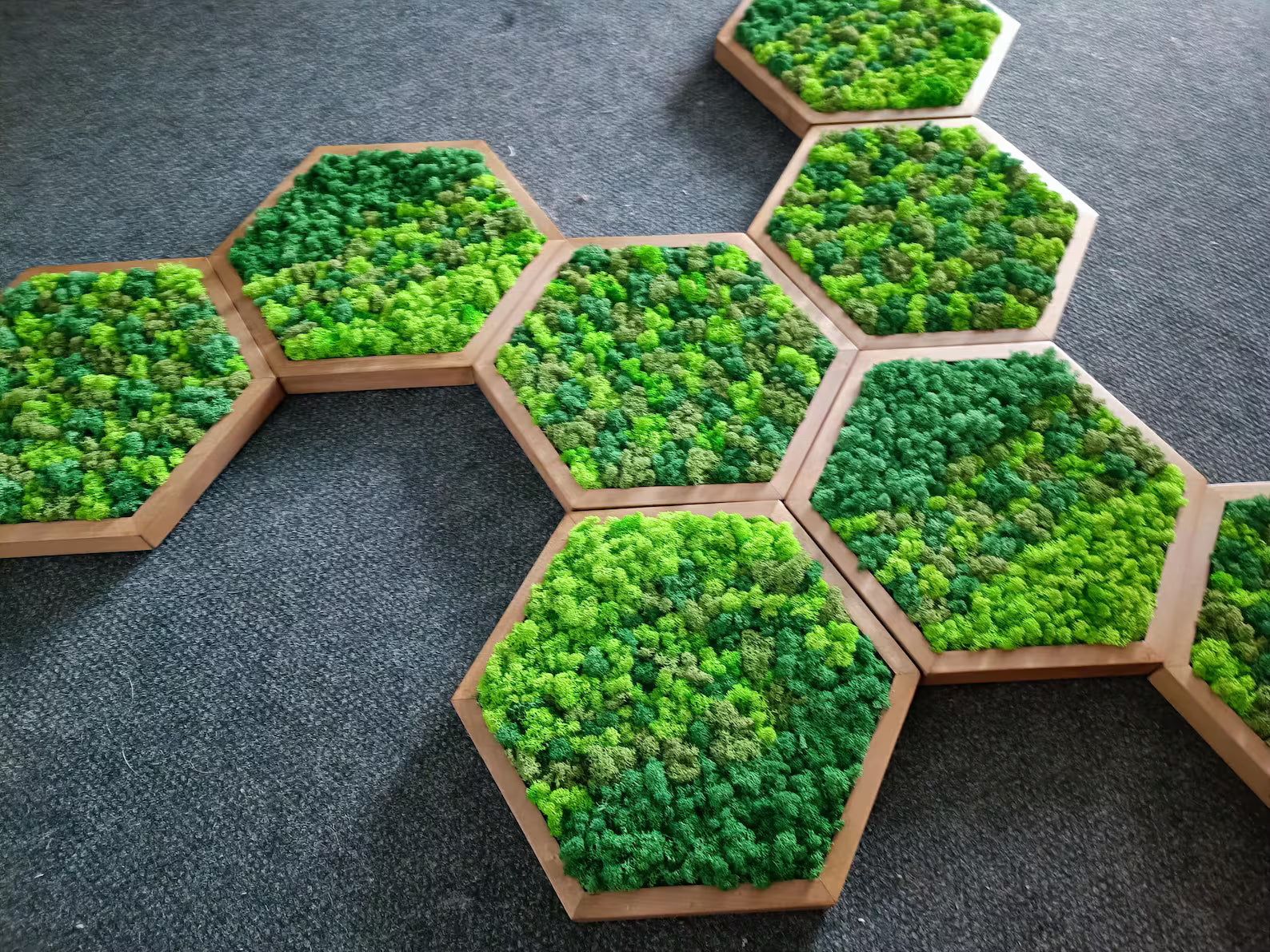 Honeycomb Moss Wall Art – Handmade Wooden Hexagon with Preserved Plants (30cm)