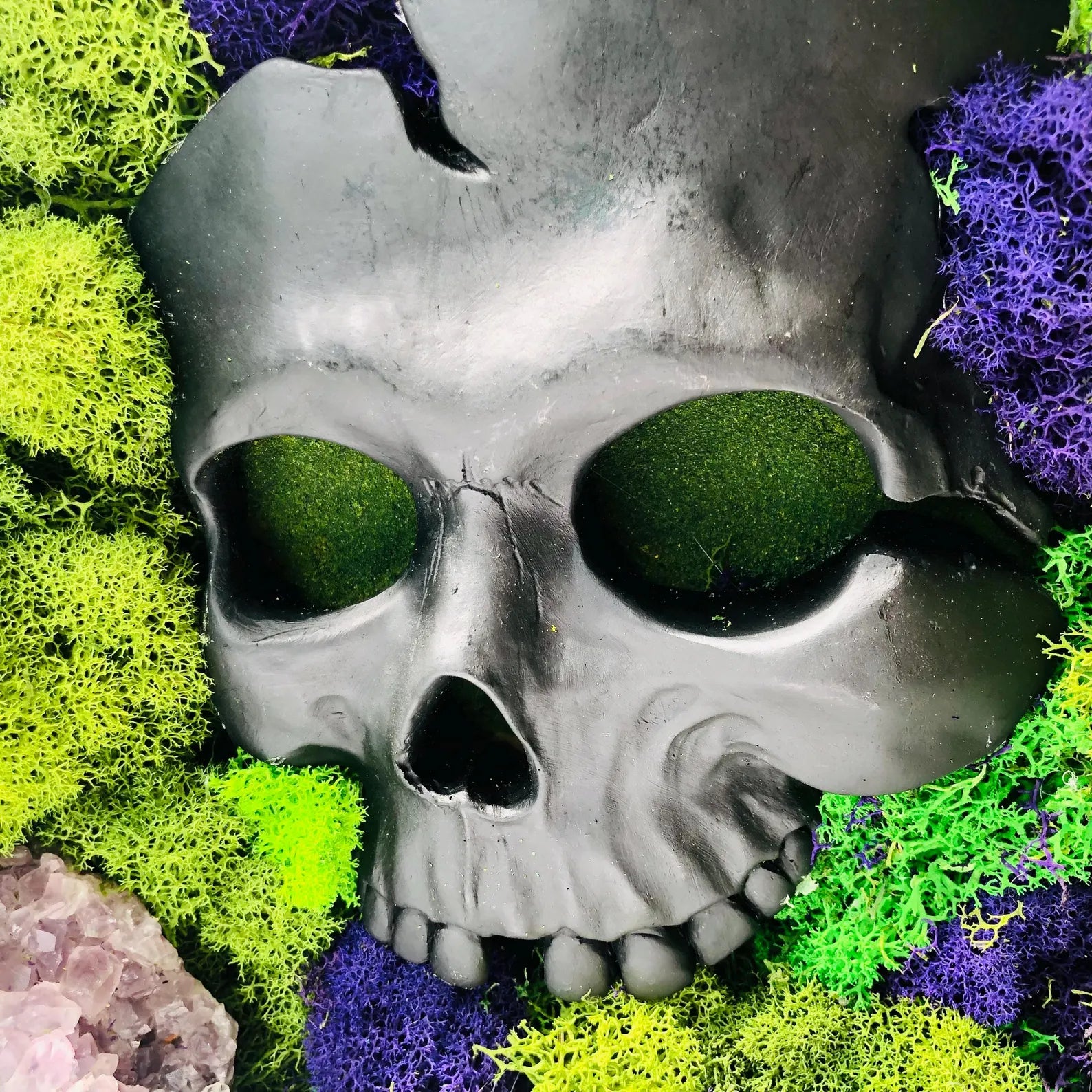 Skull Moss Wall Art – Framed Gothic Halloween Decor | Unique Floral Moss Artwork for Home