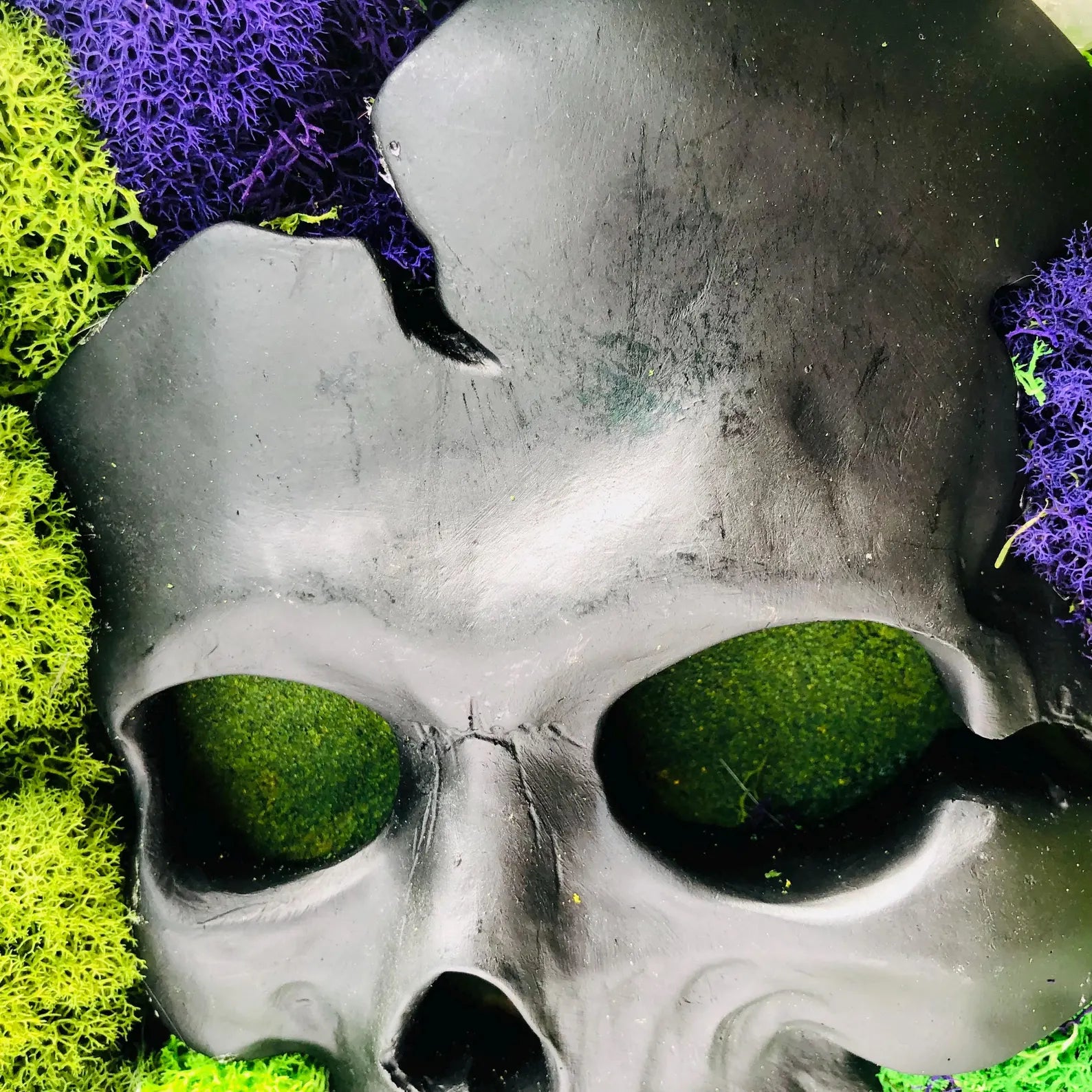 Skull Moss Wall Art – Framed Gothic Halloween Decor | Unique Floral Moss Artwork for Home