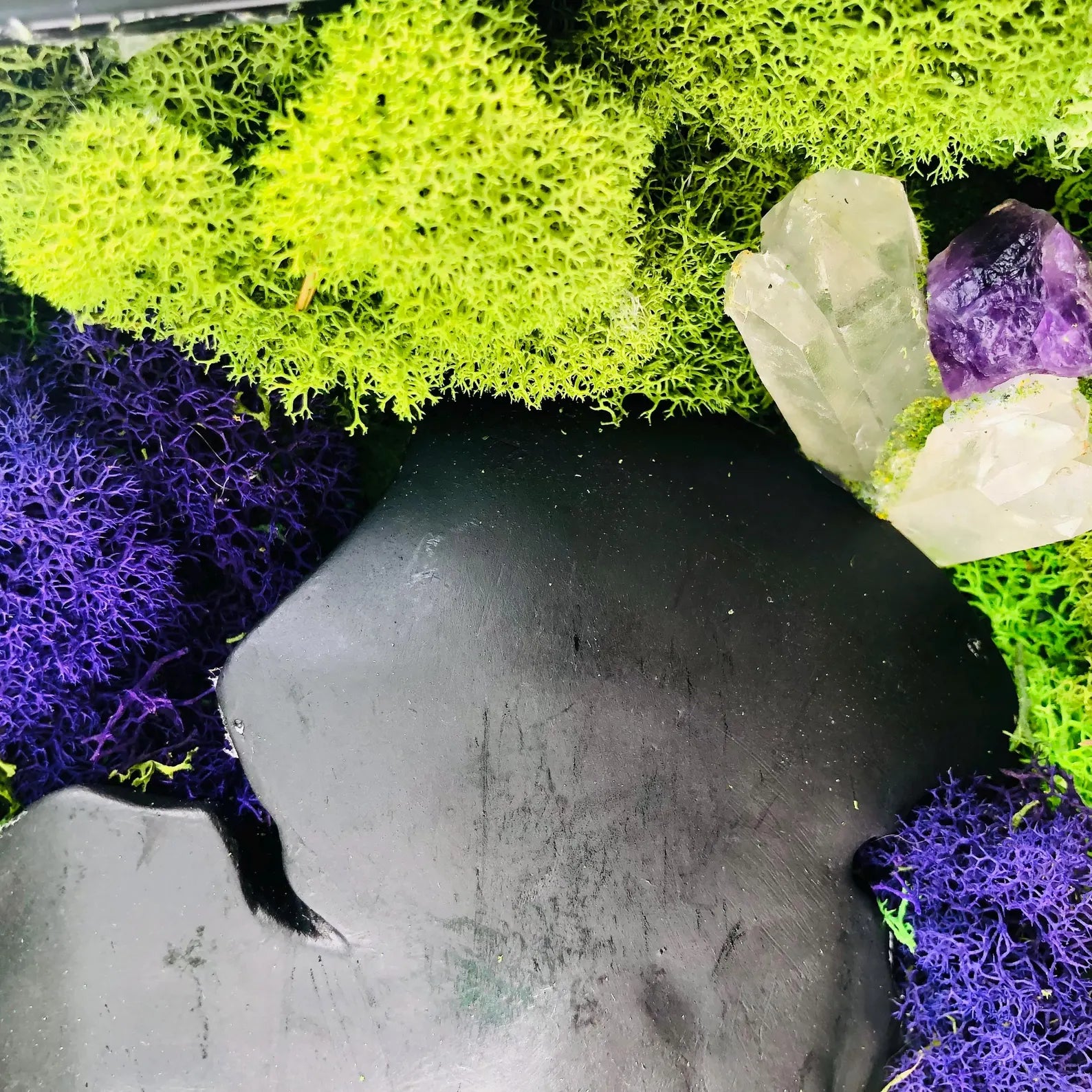 Skull Moss Wall Art – Framed Gothic Halloween Decor | Unique Floral Moss Artwork for Home