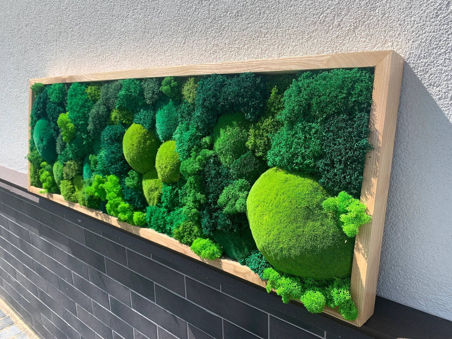 Moss Wall Art – Preserved Green Moss in Wooden Frame | Luxury Living Wall Decor