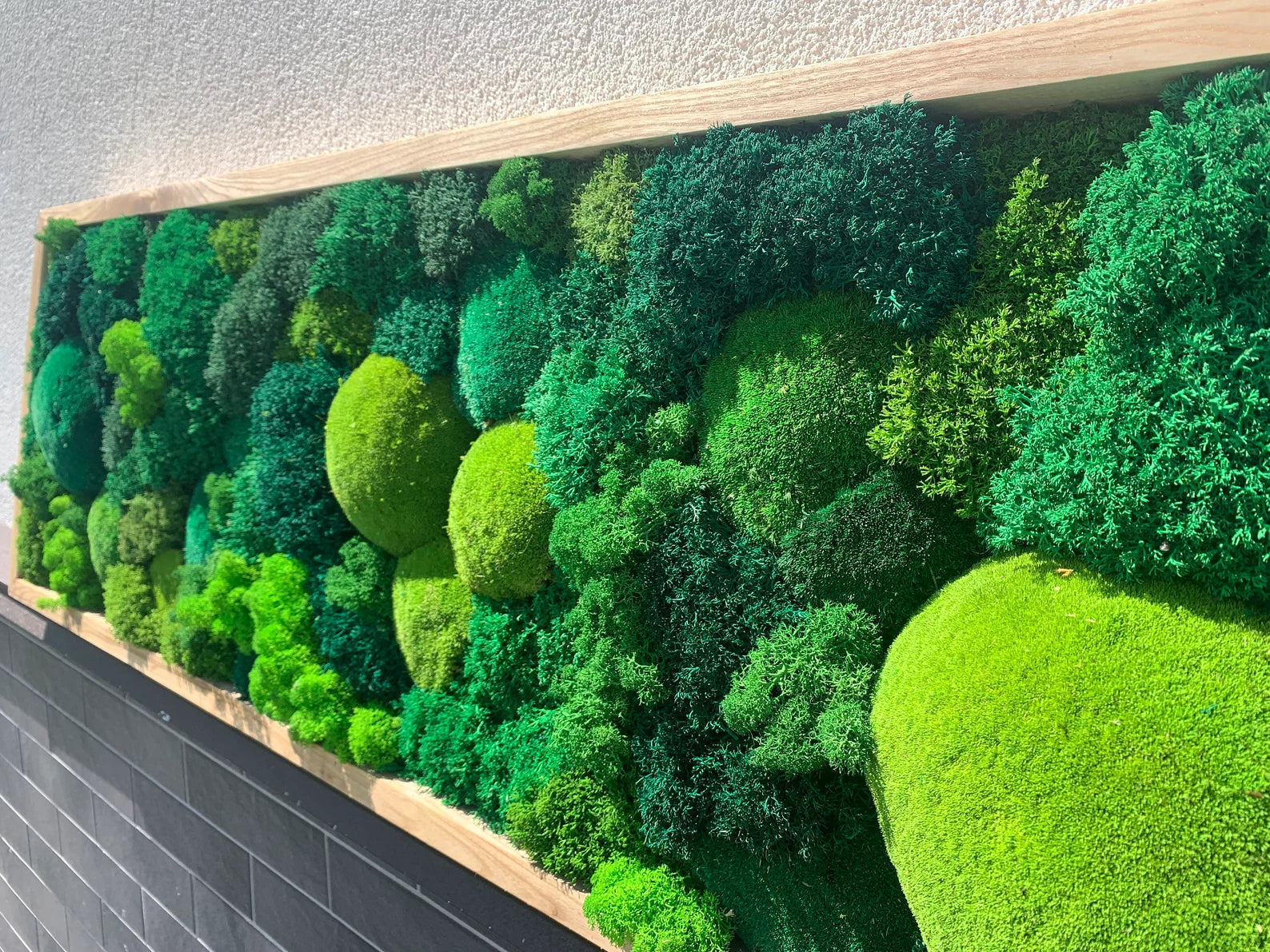 Moss Wall Art – Preserved Green Moss in Wooden Frame | Luxury Living Wall Decor