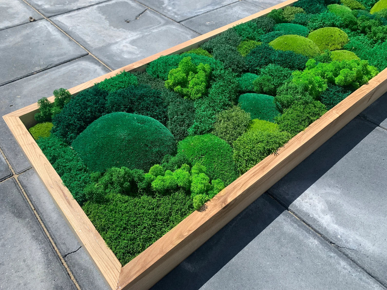 Moss Wall Art – Preserved Green Moss in Wooden Frame | Luxury Living Wall Decor