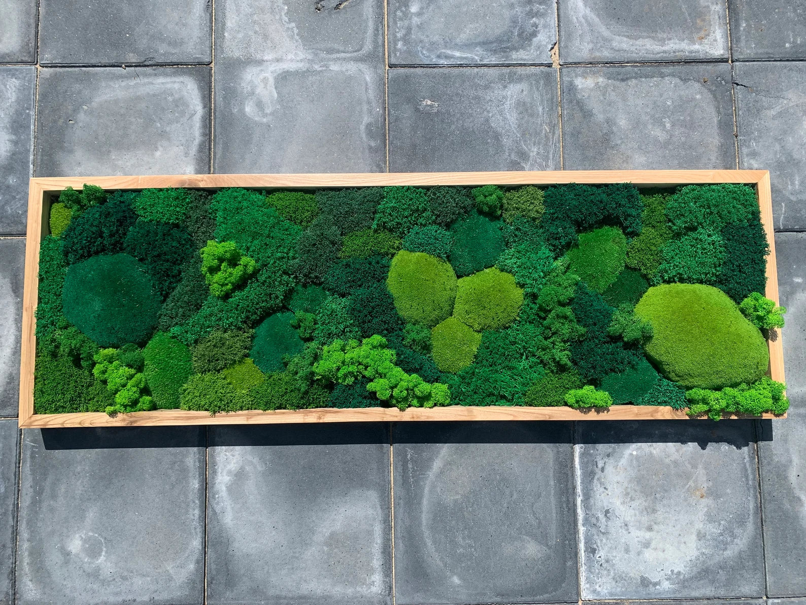 Moss Wall Art – Preserved Green Moss in Wooden Frame | Luxury Living Wall Decor
