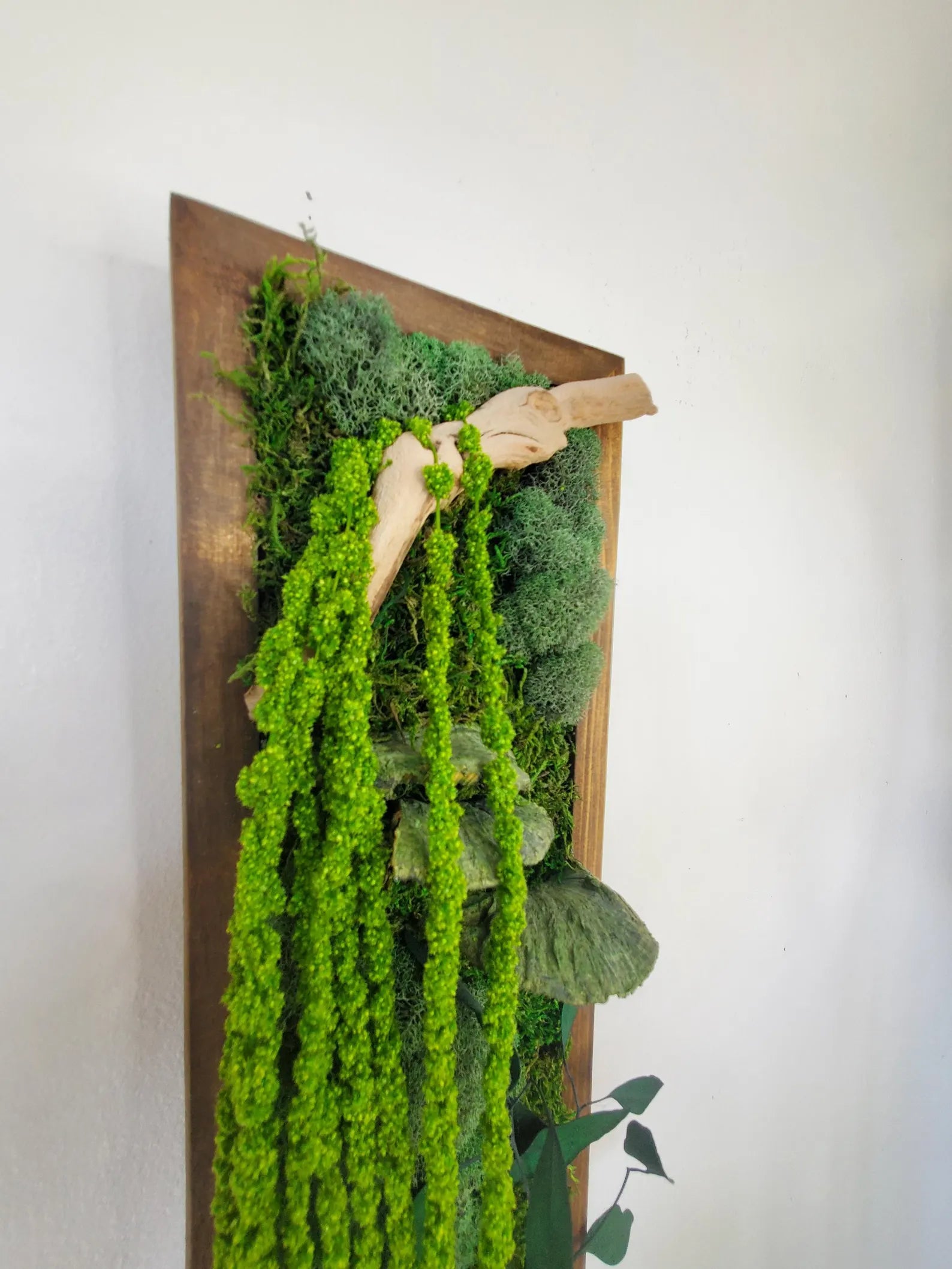 Moss Wall Decor – Boho Forest Preserved Art with Mushrooms & Wood Frame
