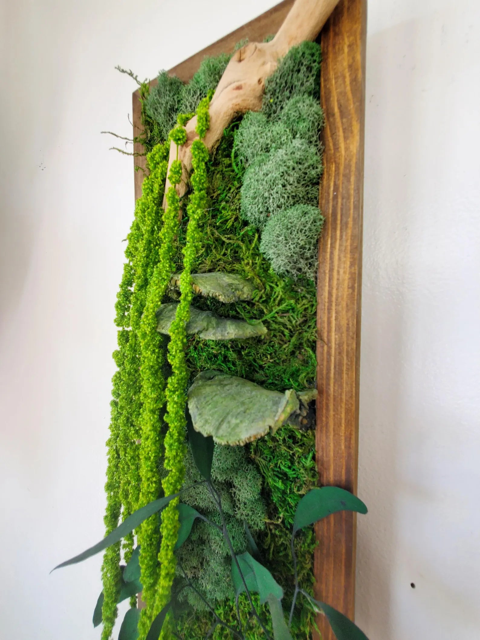 Moss Wall Decor – Boho Forest Preserved Art with Mushrooms & Wood Frame