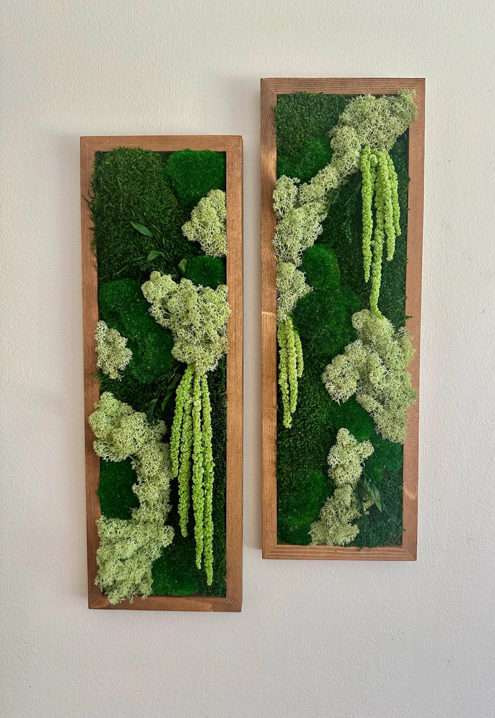 Moss Wall Art – Framed Preserved Moss Decor, Green Reindeer and Pole Moss, Rectangle Panels Available in Single to Six Set
