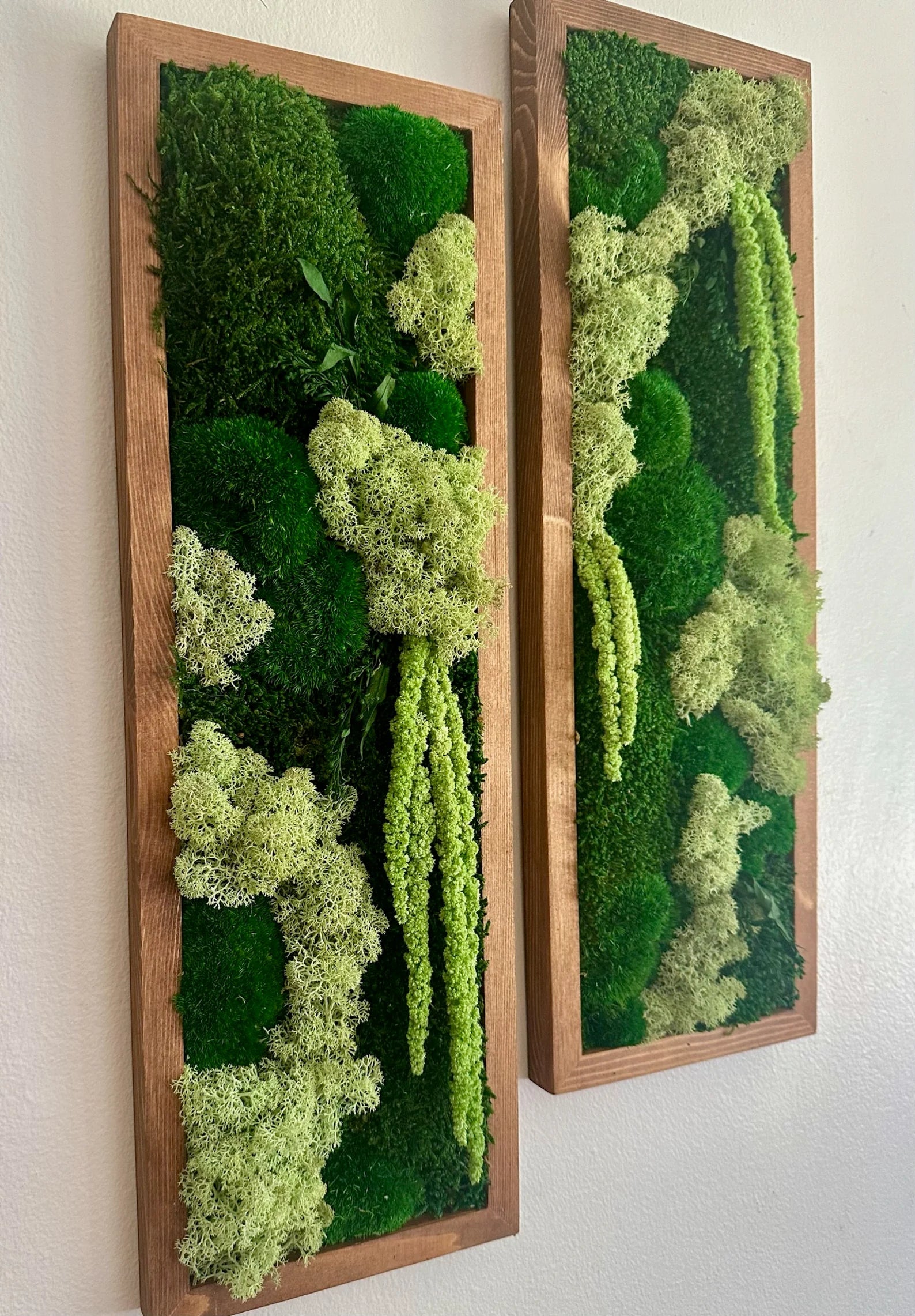 Moss Wall Art – Framed Preserved Moss Decor, Green Reindeer and Pole Moss, Rectangle Panels Available in Single to Six Set