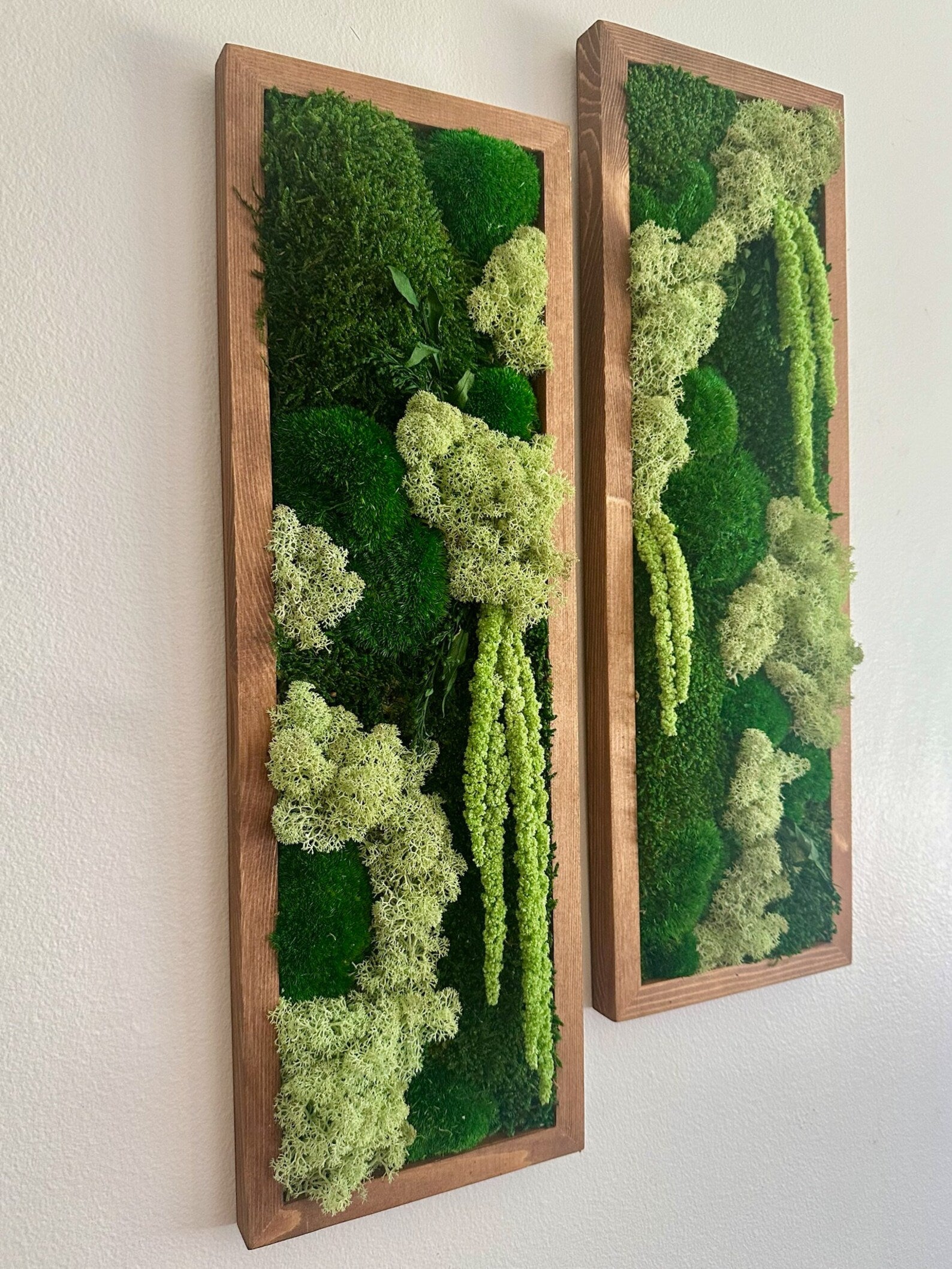 Moss Wall Art – Framed Preserved Moss Decor, Green Reindeer and Pole Moss, Rectangle Panels Available in Single to Six Set