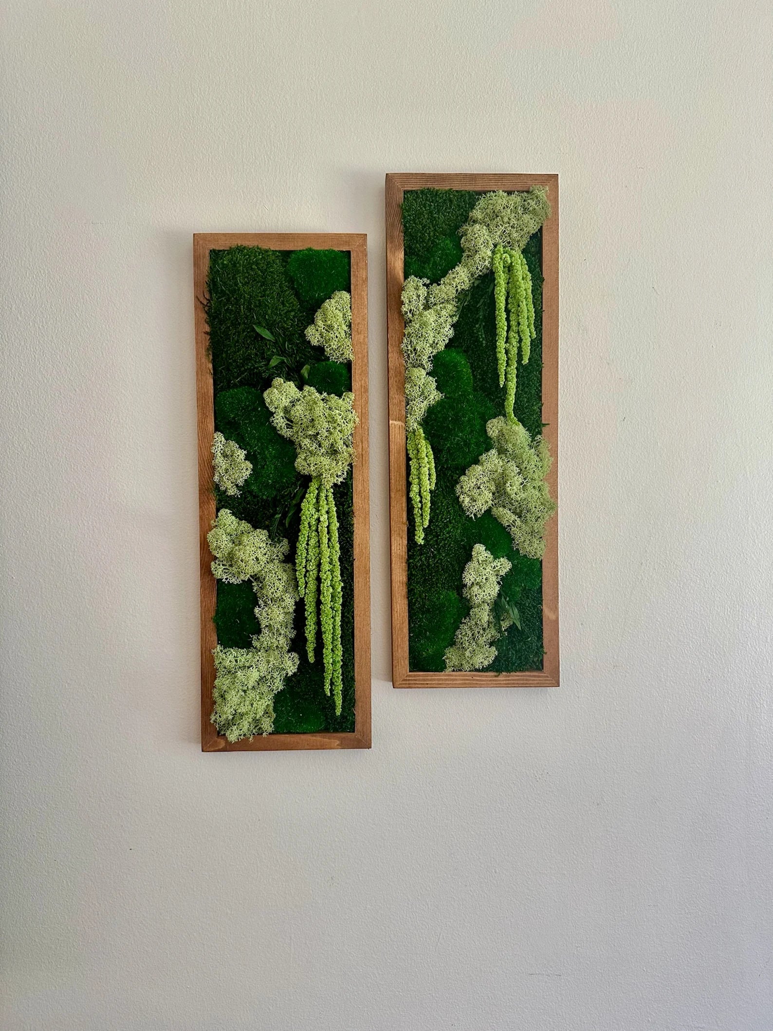 Moss Wall Art – Framed Preserved Moss Decor, Green Reindeer and Pole Moss, Rectangle Panels Available in Single to Six Set