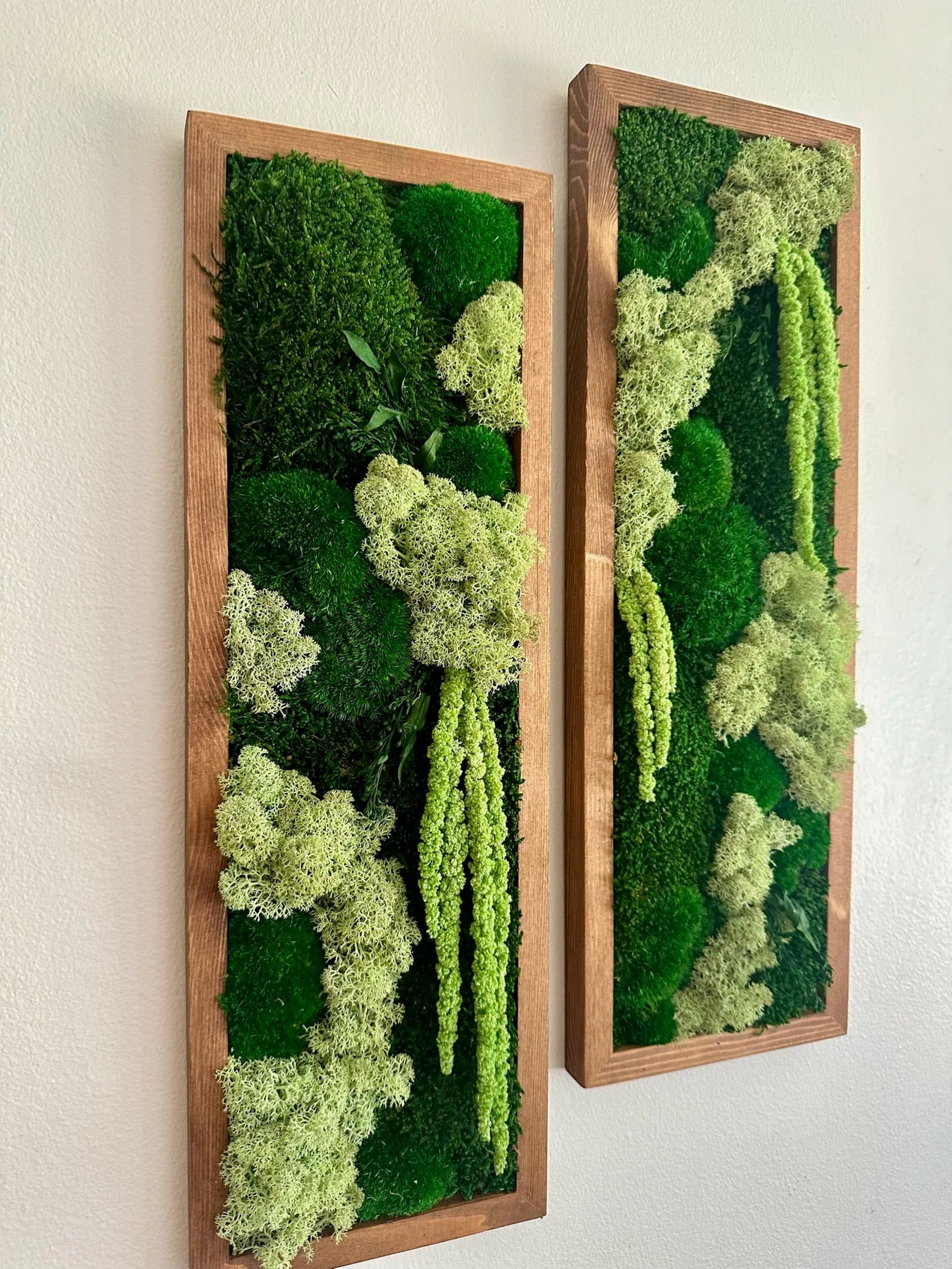 Moss Wall Art – Framed Preserved Moss Decor, Green Reindeer and Pole Moss, Rectangle Panels Available in Single to Six Set