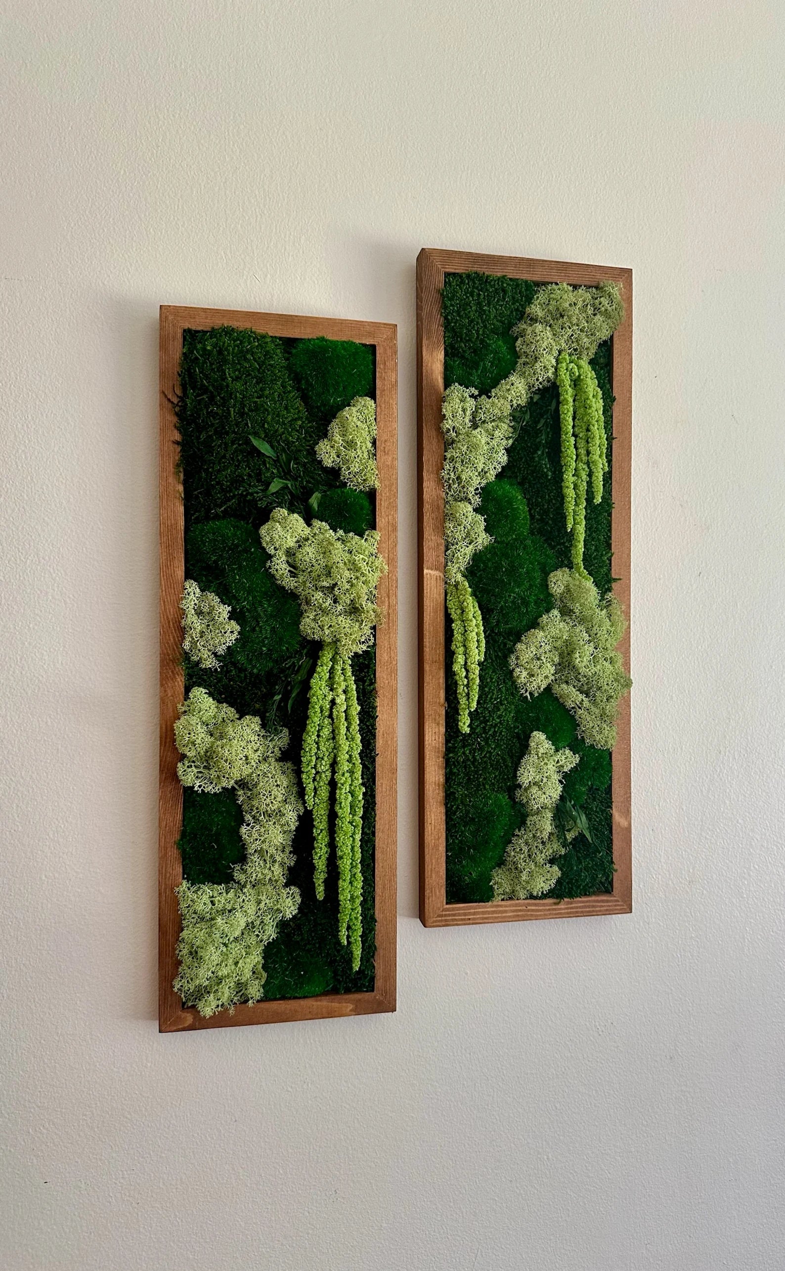 Moss Wall Art – Framed Preserved Moss Decor, Green Reindeer and Pole Moss, Rectangle Panels Available in Single to Six Set