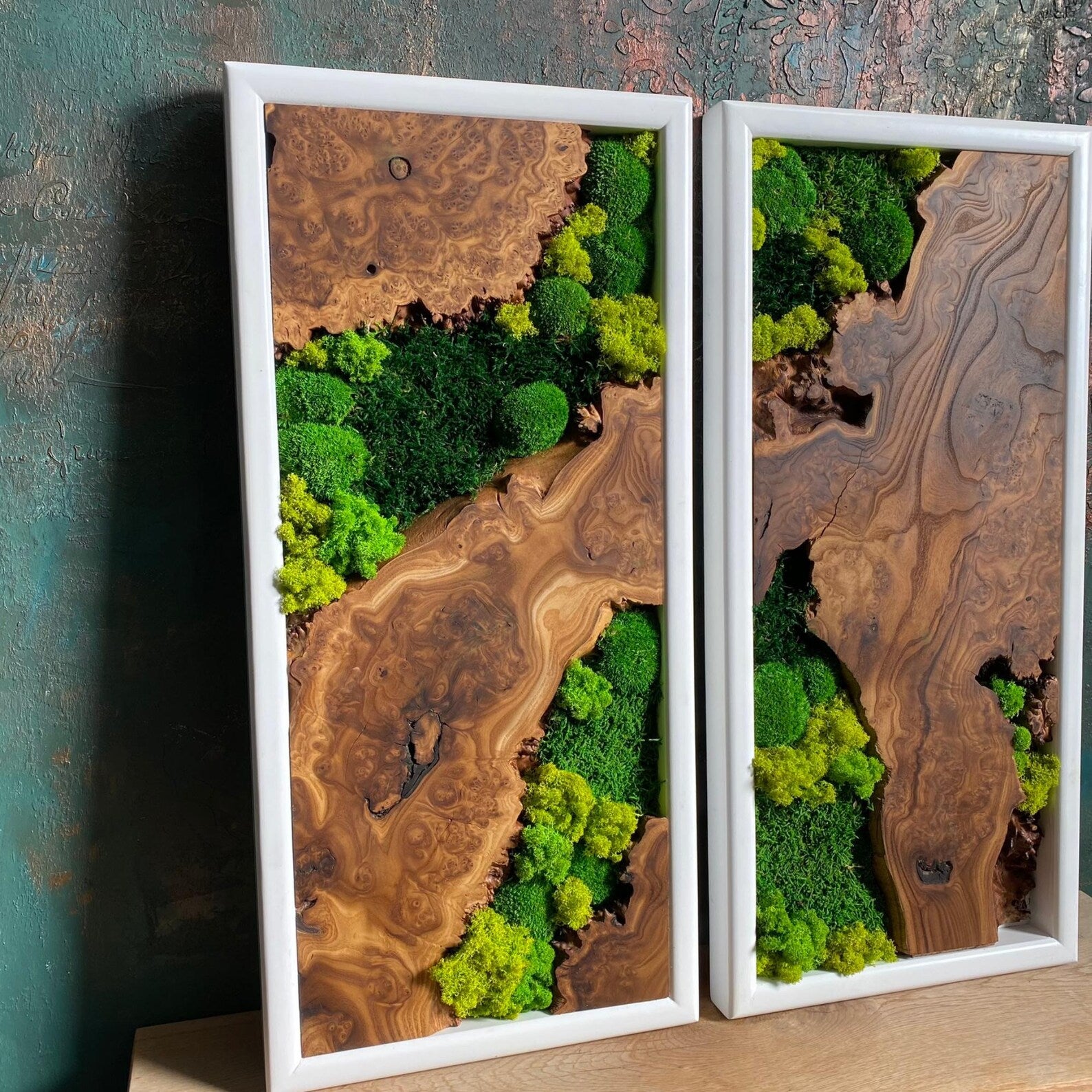Handcrafted Olive Wood & Preserved Moss Wall Art – Live Edge Rustic Decor