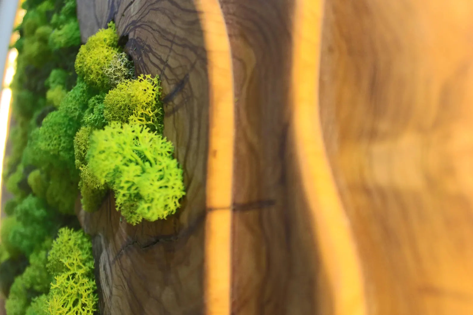 Handmade Moss Wall Decor: Wooden Wall Art for a Natural Living Room