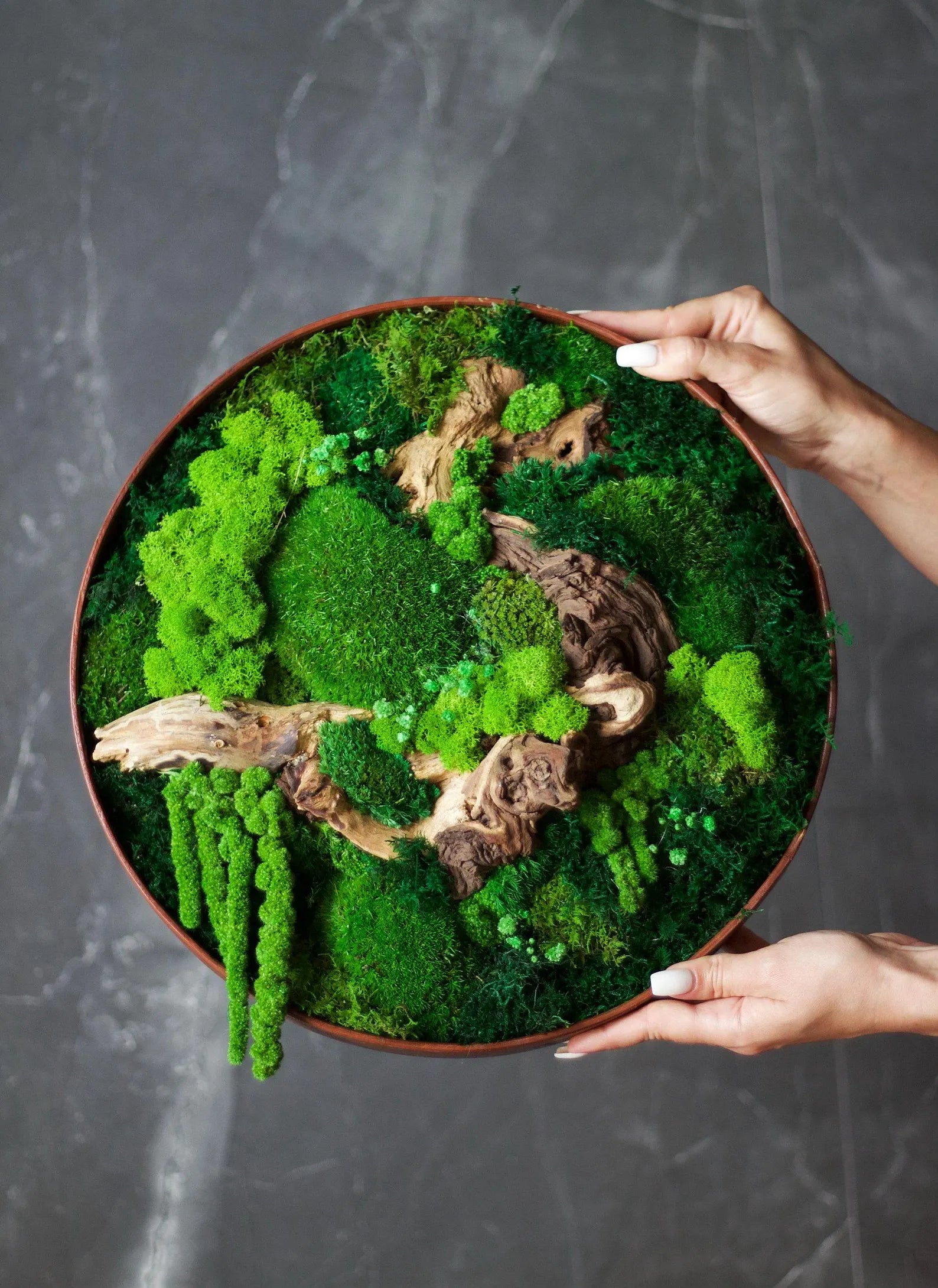 Circle Moss Wall Art – Handmade Wooden Wall Decor for Home & Office