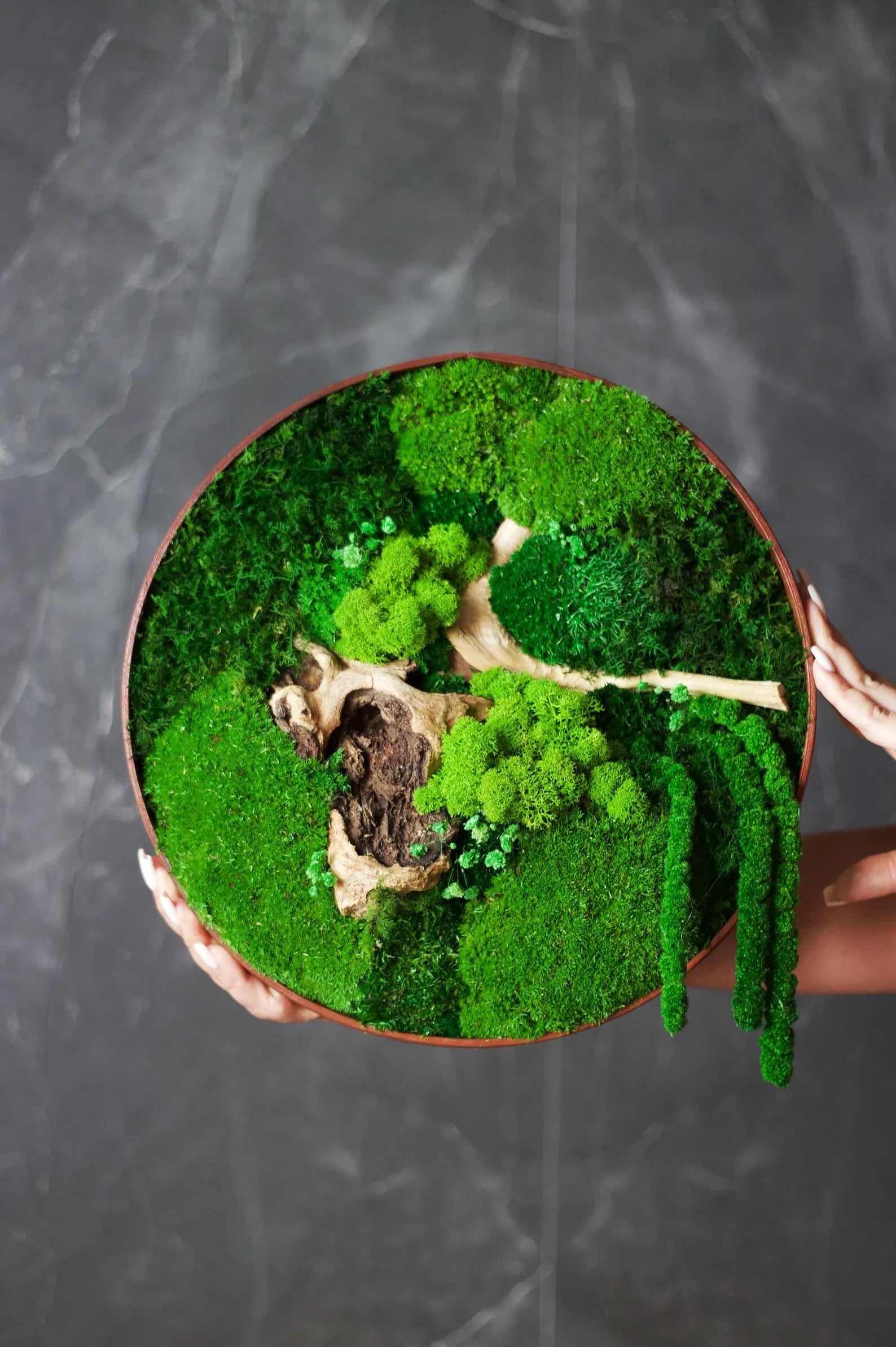 Wooden Moss Wall Art – Circular Green Wall Panel – Handmade Moss Decor