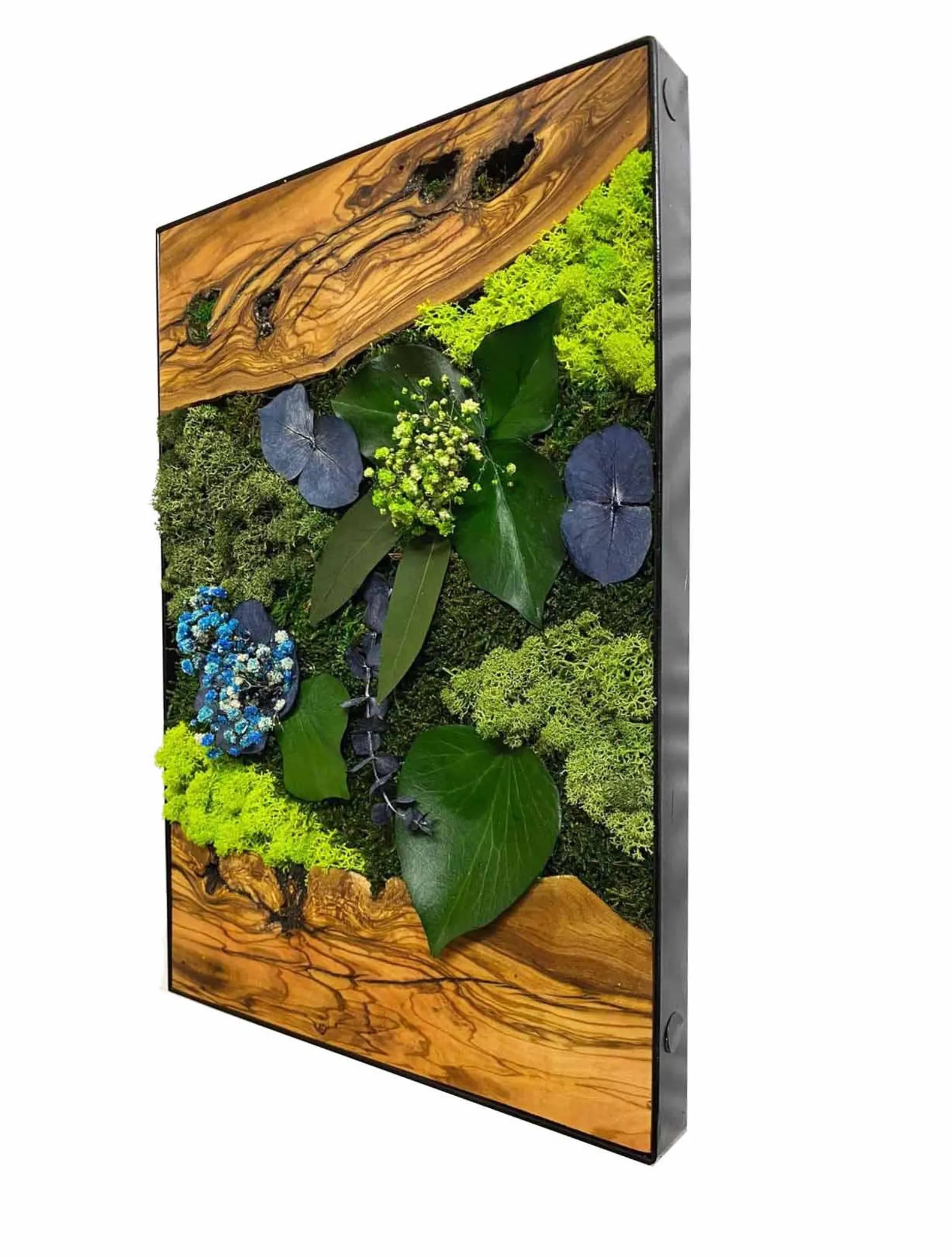 Live Moss Wall Art with Preserved Flowers – Botanical Decor Gift