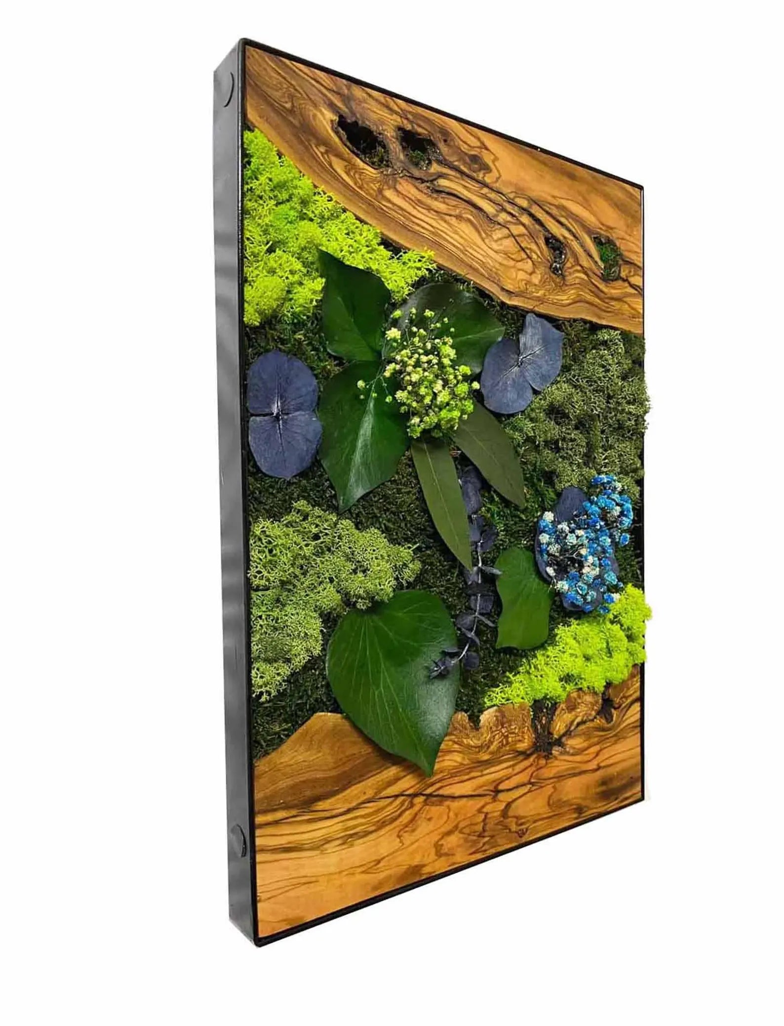 Live Moss Wall Art with Preserved Flowers – Botanical Decor Gift