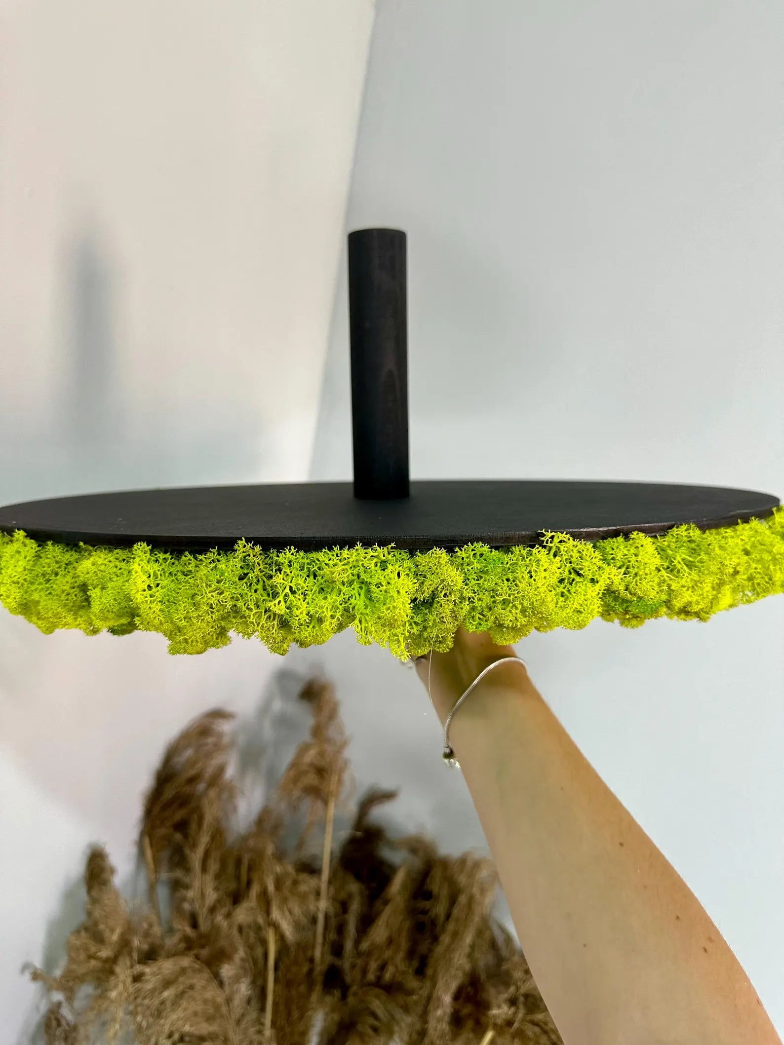 Round Moss Wall Art – Handmade Preserved Moss Circle Decor for Modern Living Spaces