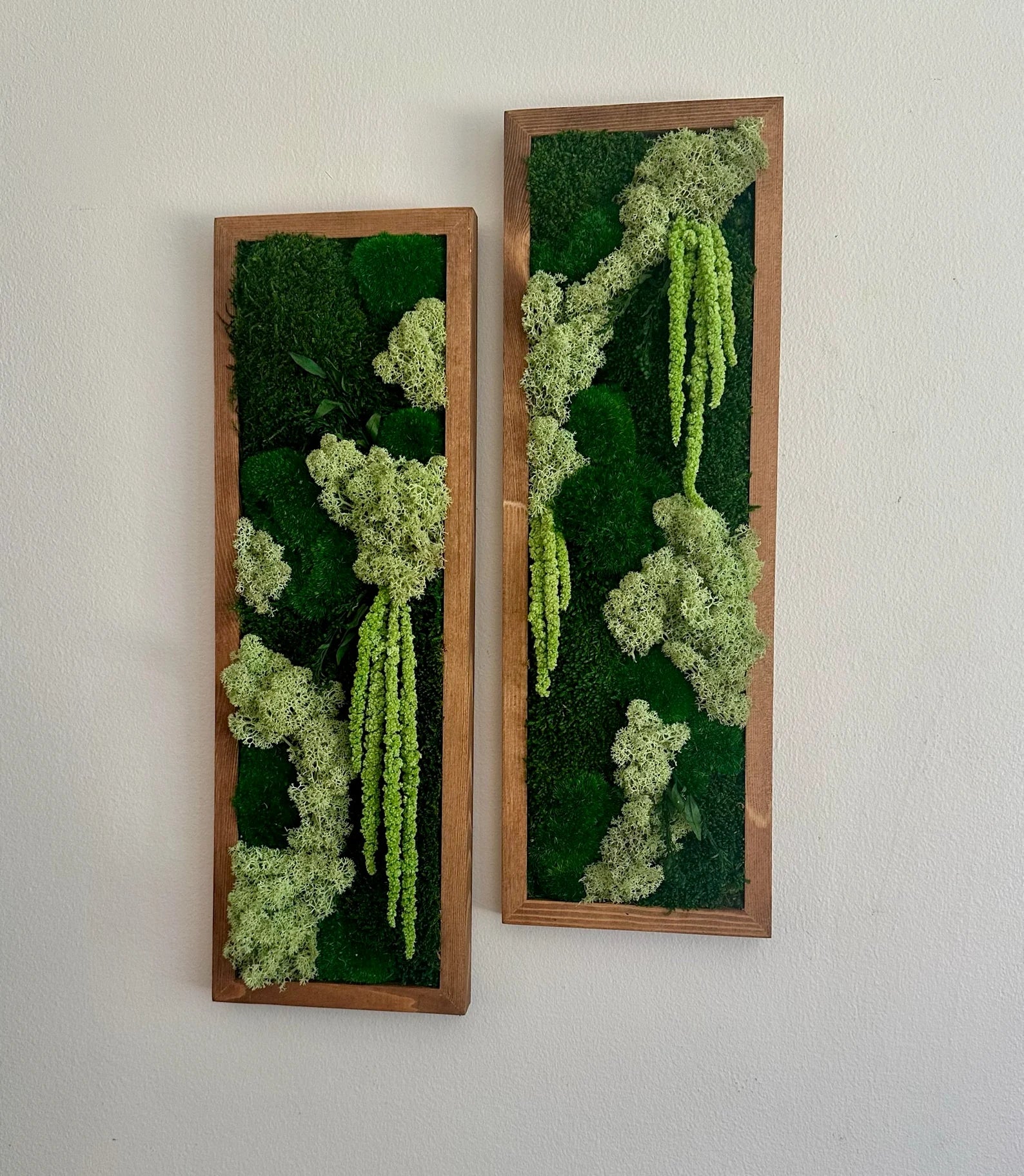 Moss Wall Art – Framed Preserved Moss Decor, Green Reindeer and Pole Moss, Rectangle Panels Available in Single to Six Set