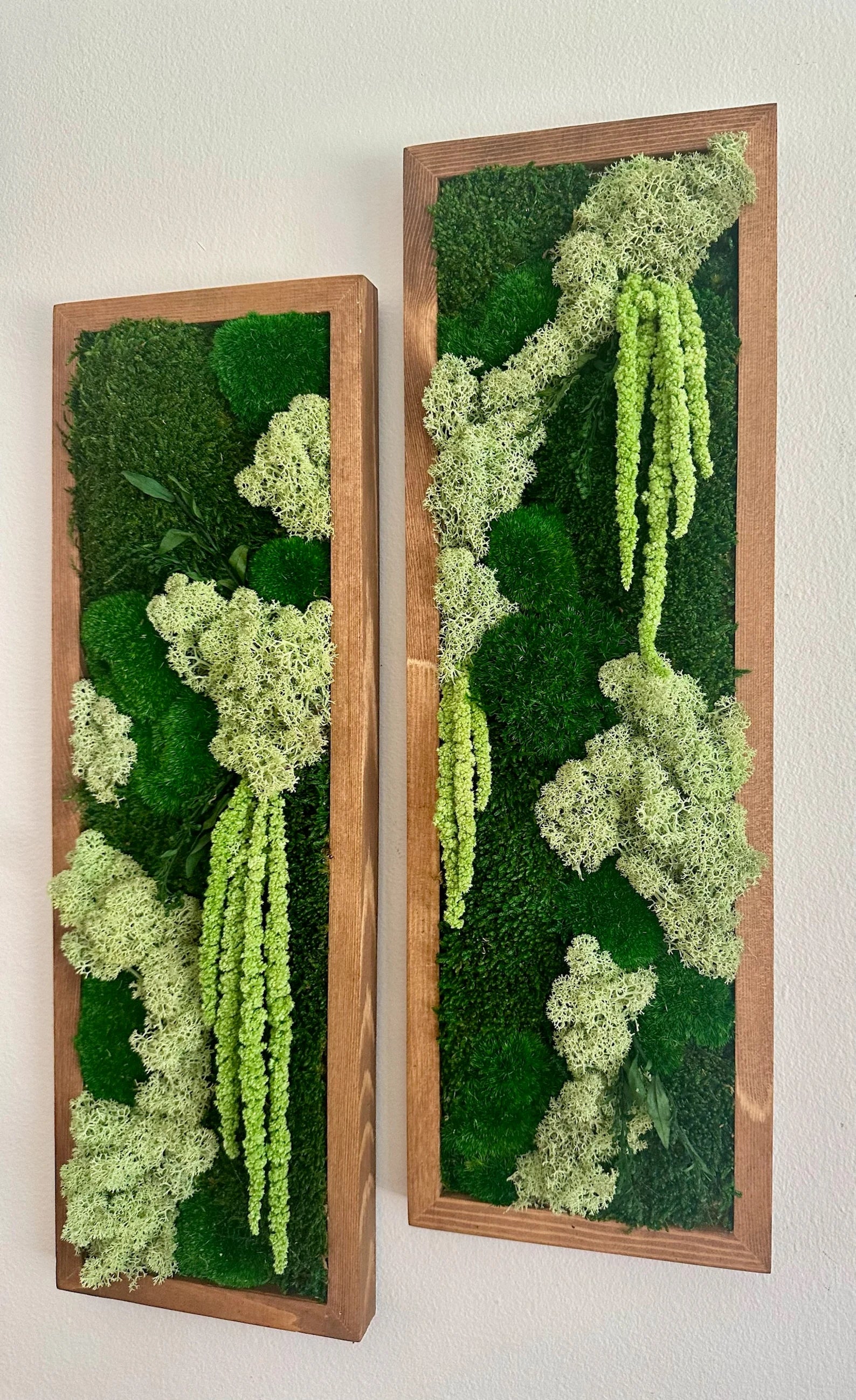 Moss Wall Art – Framed Preserved Moss Decor, Green Reindeer and Pole Moss, Rectangle Panels Available in Single to Six Set