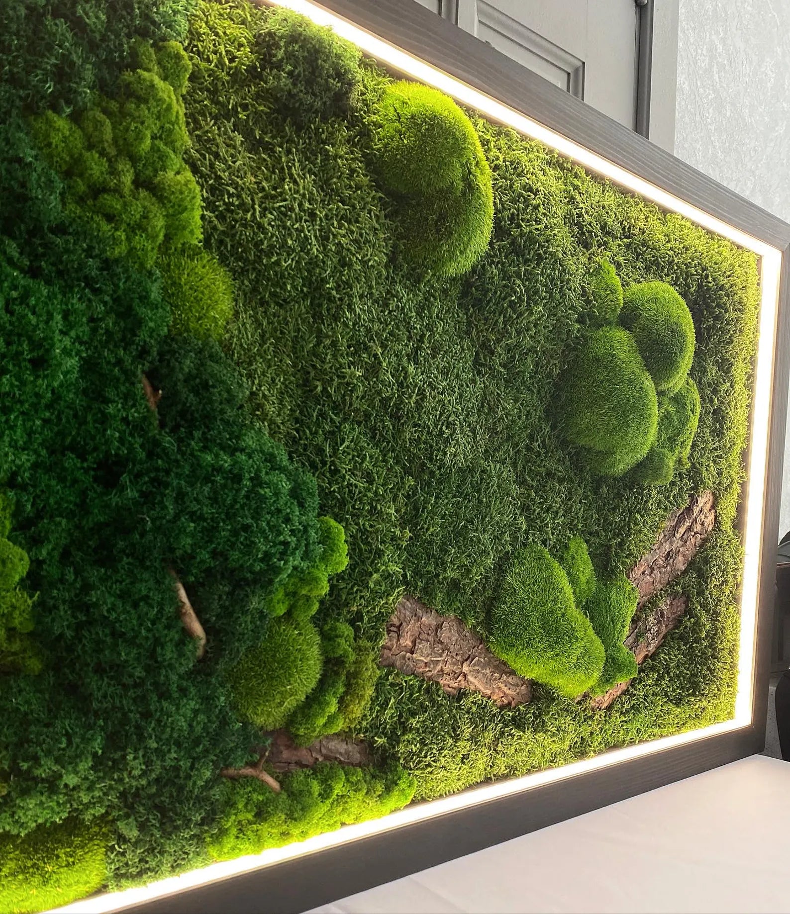 Nature-Inspired Preserved Moss Wall Art with LED – Unique Botanical Gift-2