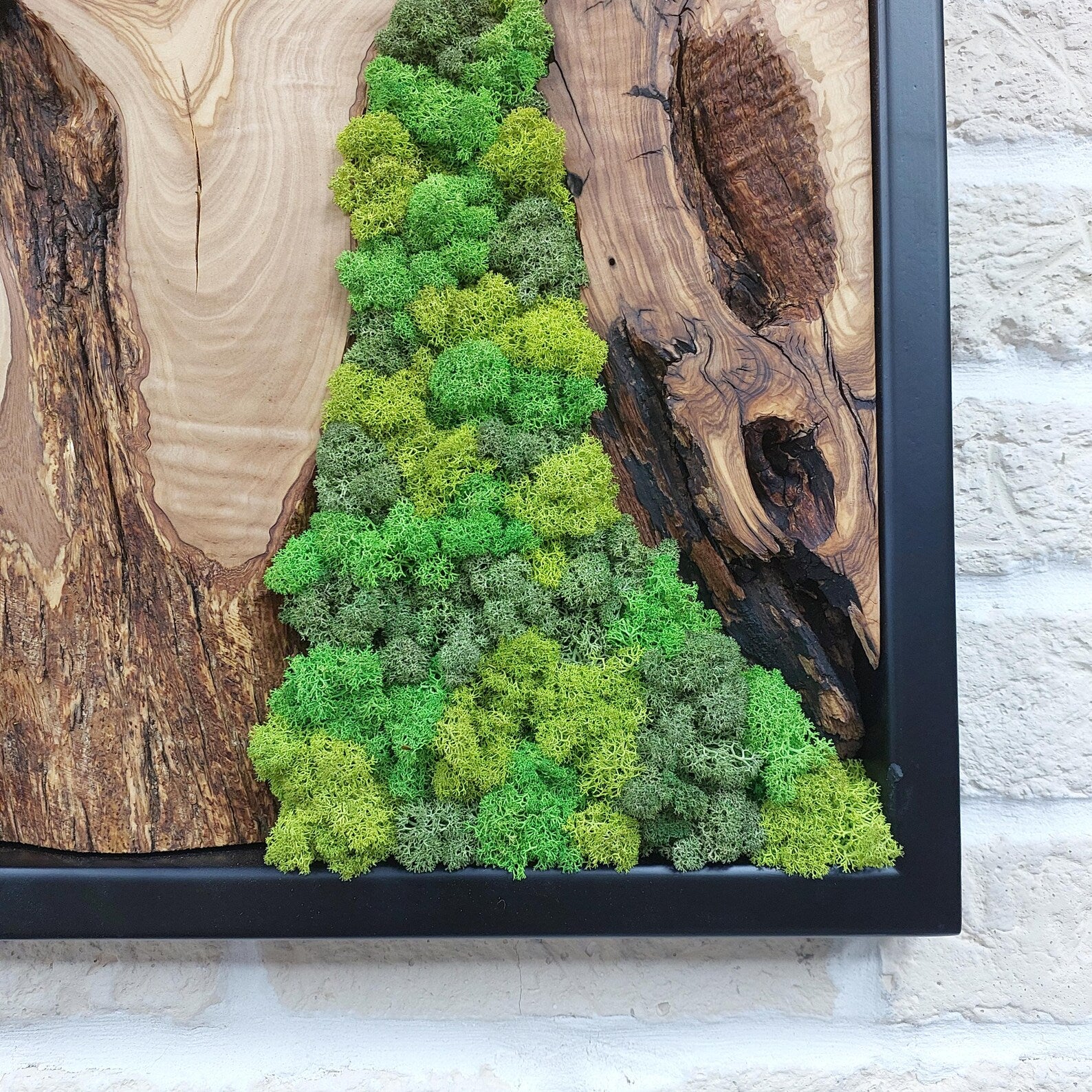 Handcrafted Moss Wall Art: Modern Wooden Wall Decor for a Natural Home
