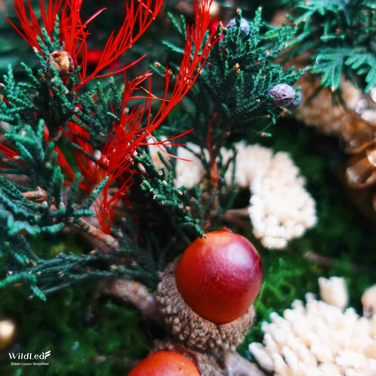 Framed Christmas Moss Wall Art – Golden Pinecones & Red Ribbon Holiday Decor