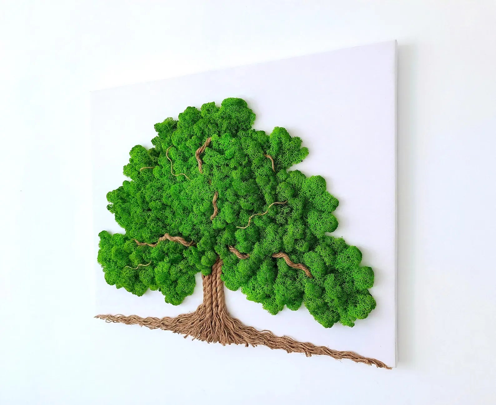 Tree of Life Moss Wall Art – Large 60×50 cm Wall Moss Decor with Stabilized Reindeer Moss – Zen Living Picture