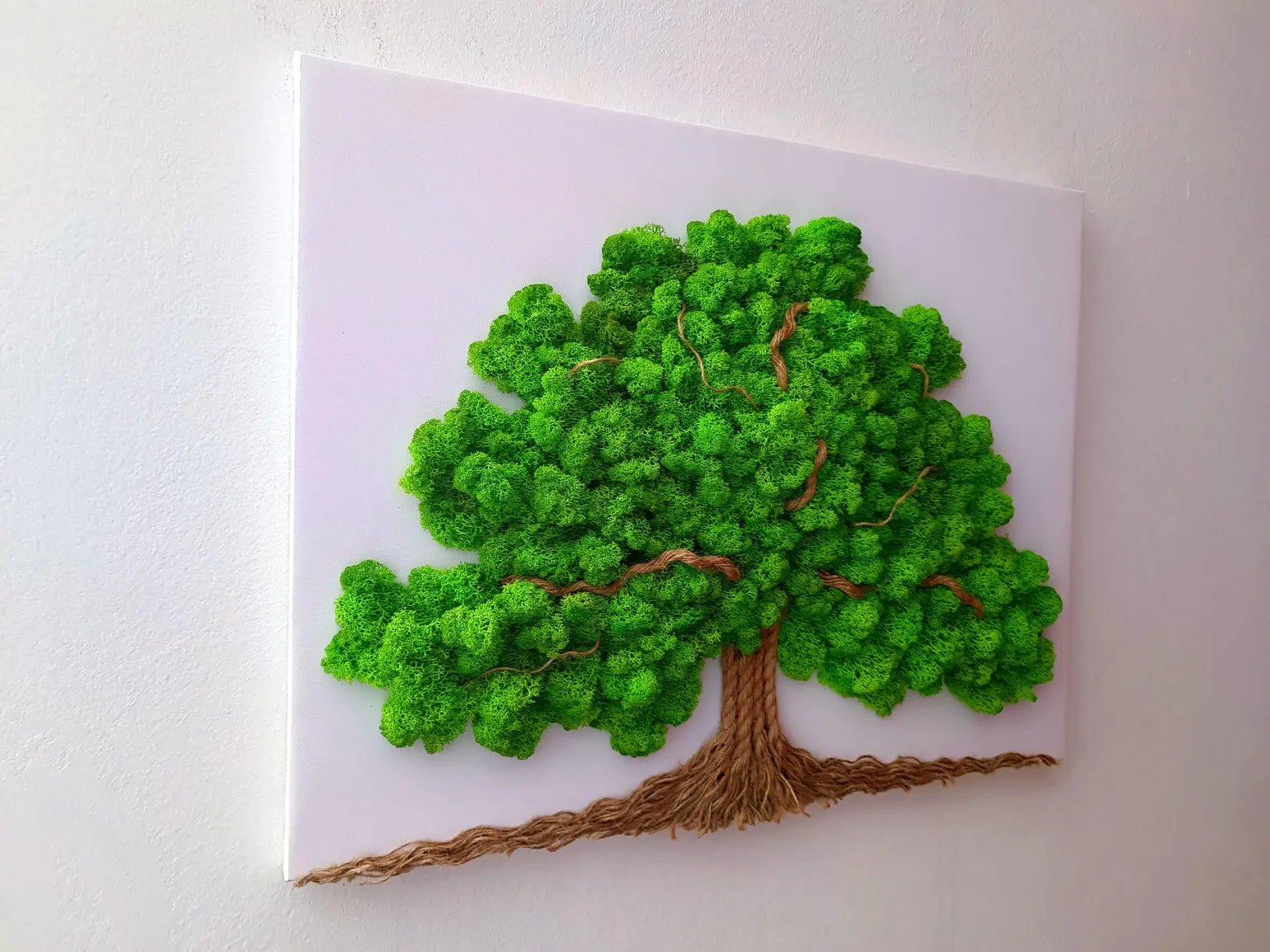 Tree of Life Moss Wall Art – Large 60×50 cm Wall Moss Decor with Stabilized Reindeer Moss – Zen Living Picture