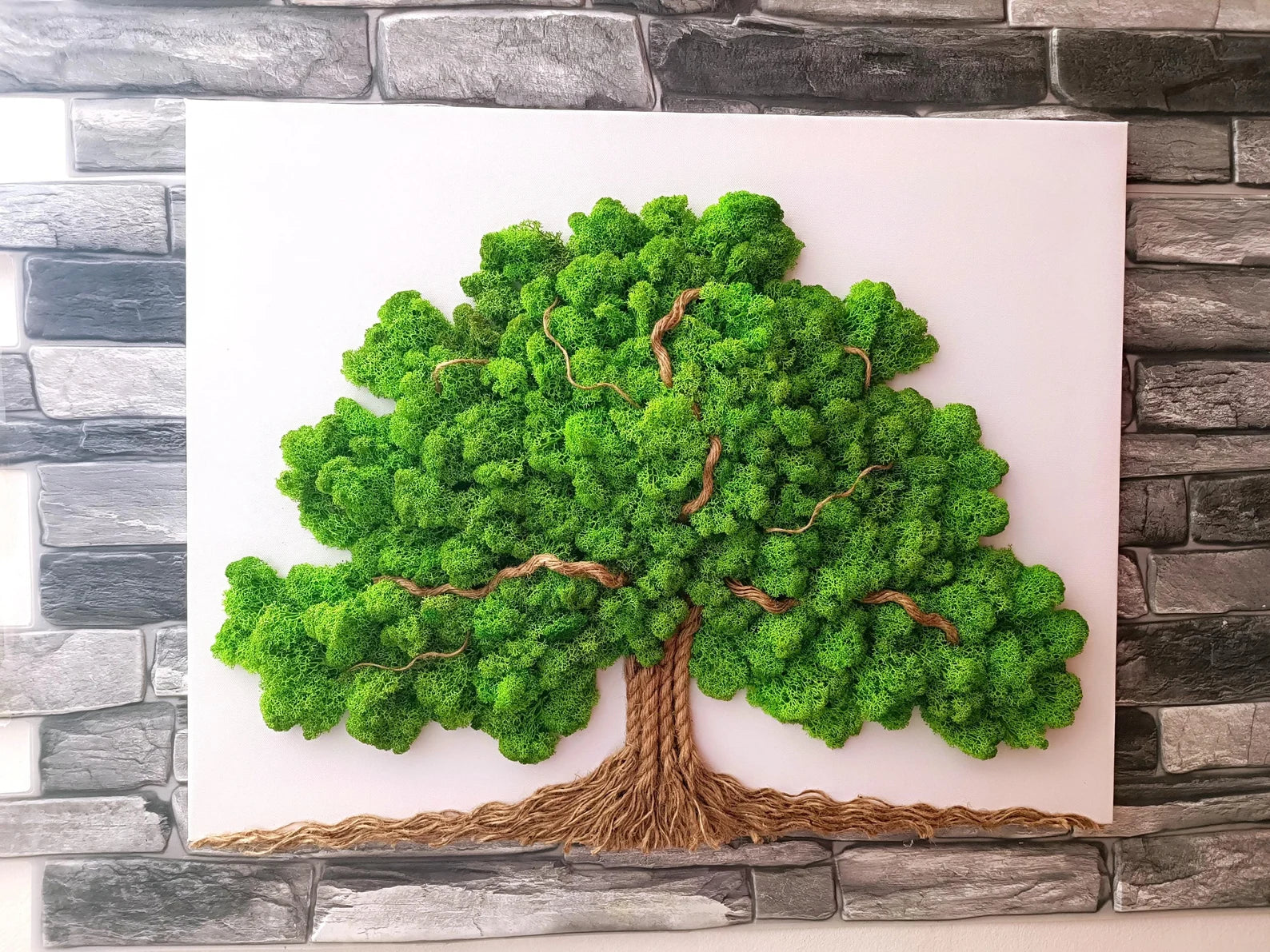 Tree of Life Moss Wall Art – Large 60×50 cm Wall Moss Decor with Stabilized Reindeer Moss – Zen Living Picture