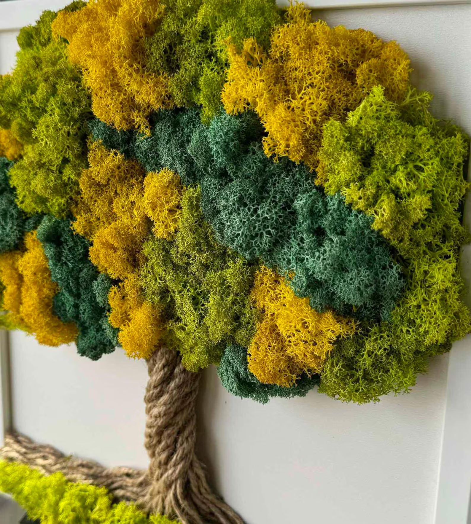 Preserved Moss Wall Art – Handmade Tree of Life Design | Framed Reindeer Moss Nature Decor & Yoga Gift