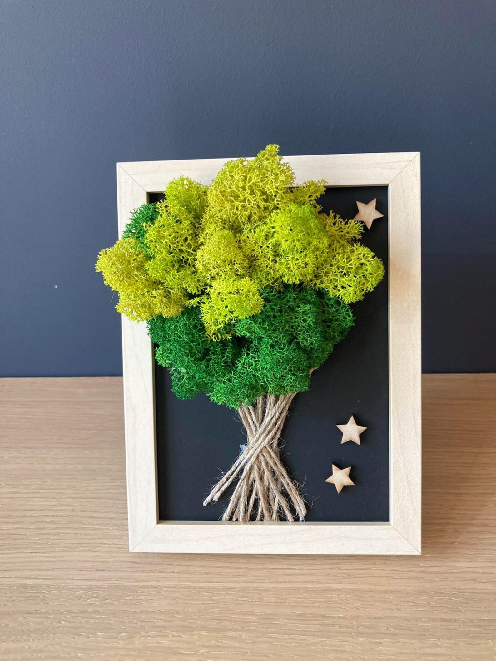 Moss Wall Art – Wooden Frame Nature Decor for Home & Office