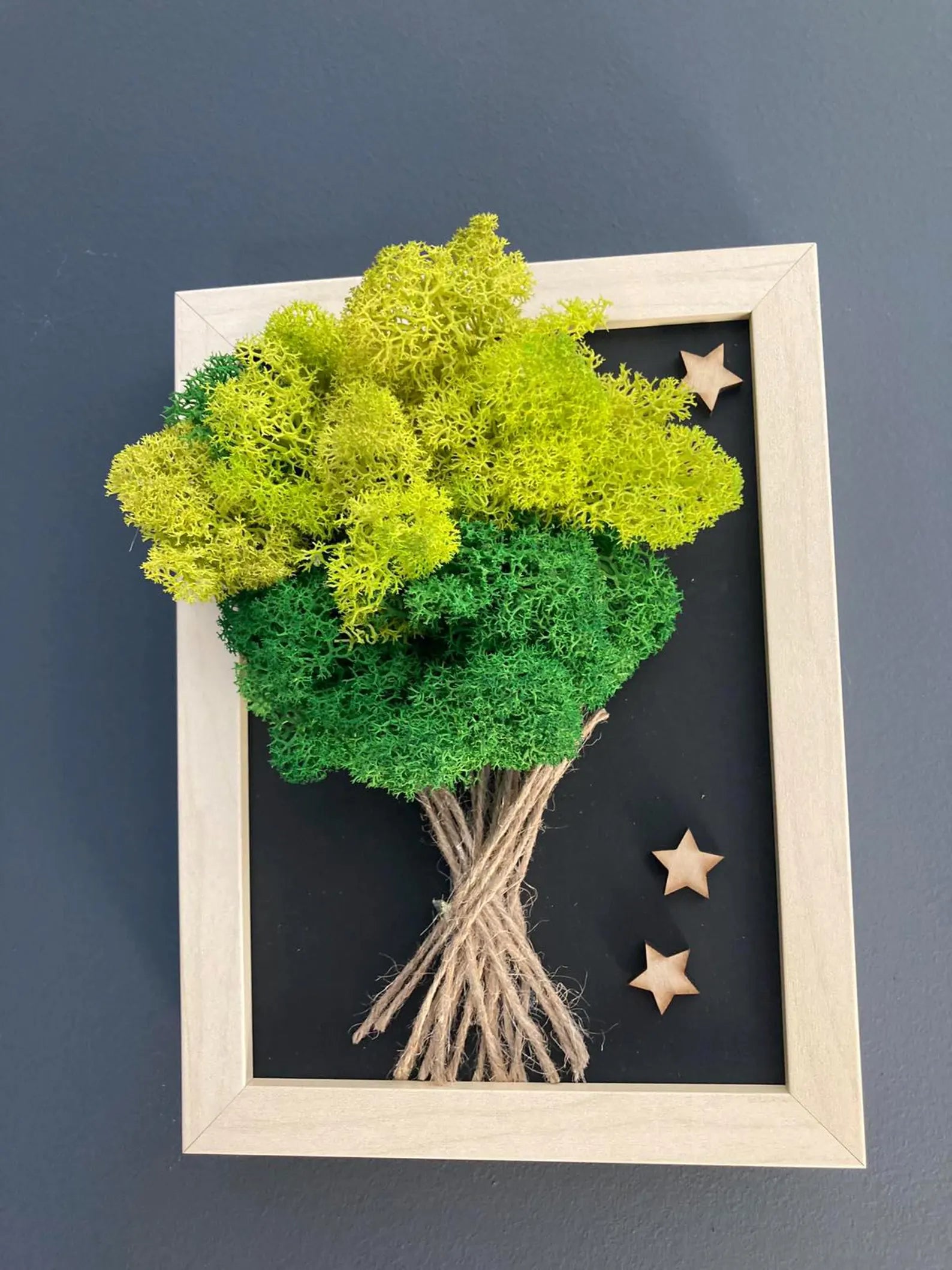 Moss Wall Art – Wooden Frame Nature Decor for Home & Office