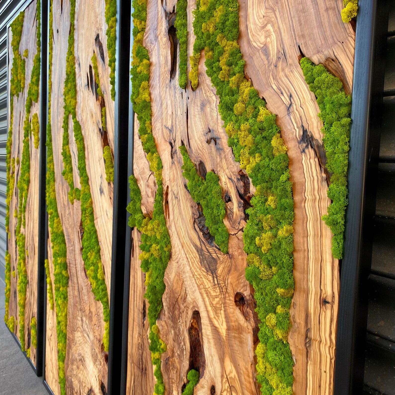 Green Moss Wall Art – Preserved Moss and Olive Wood Nature Wall Hanging