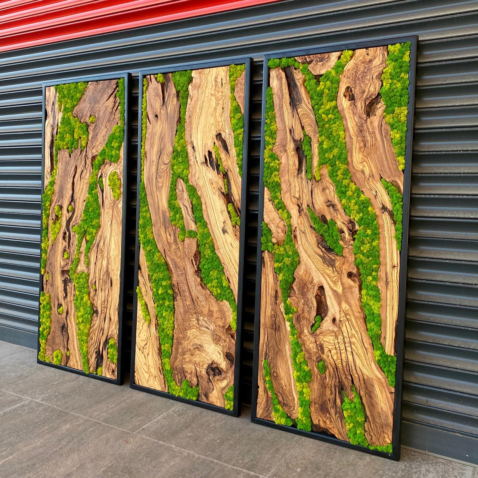 Green Moss Wall Art – Preserved Moss and Olive Wood Nature Wall Hanging