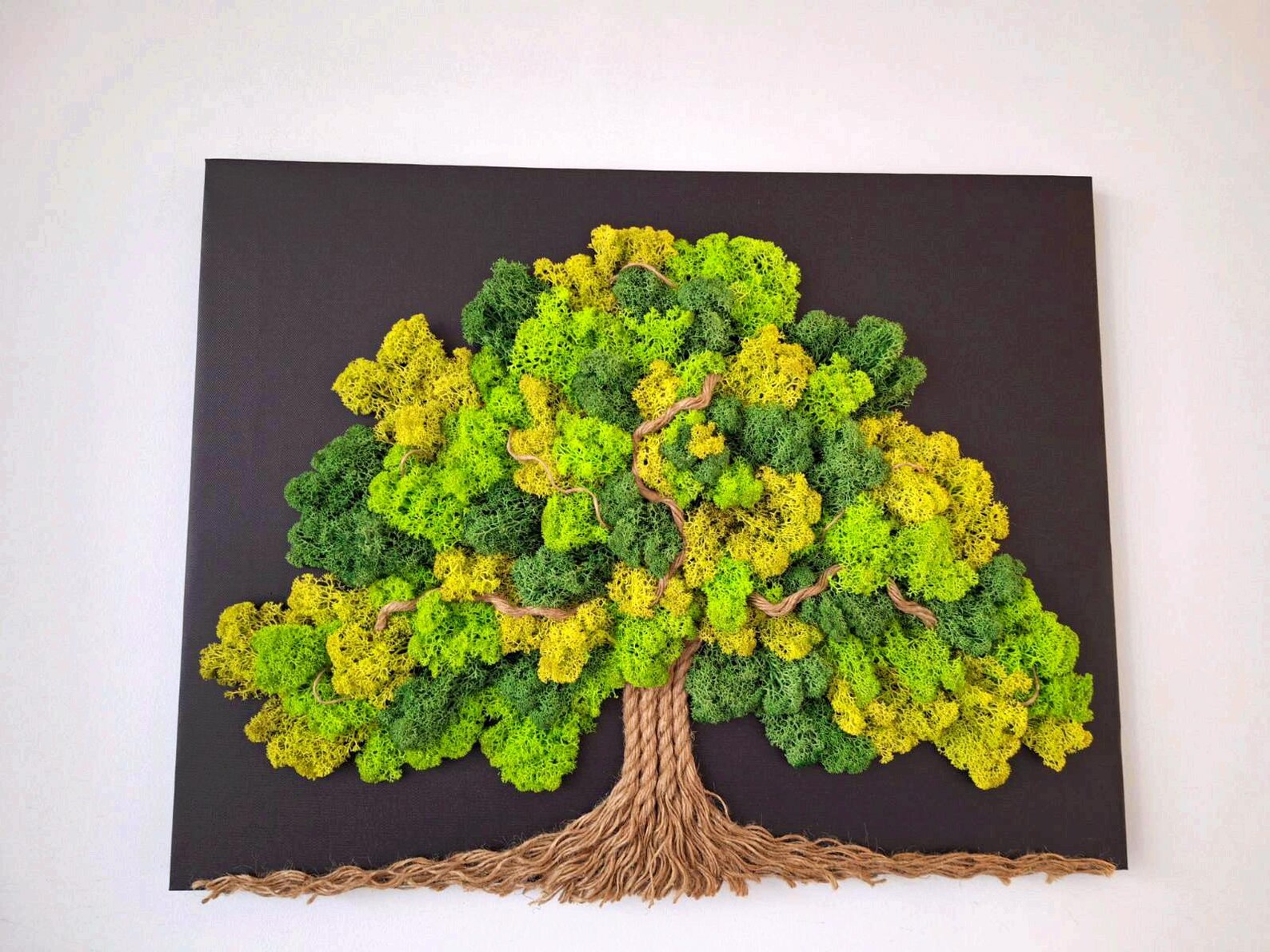 Tree of Life Moss Wall Art – Large 60x50cm Living Picture with Stabilized Reindeer Moss for Zen Home Décor