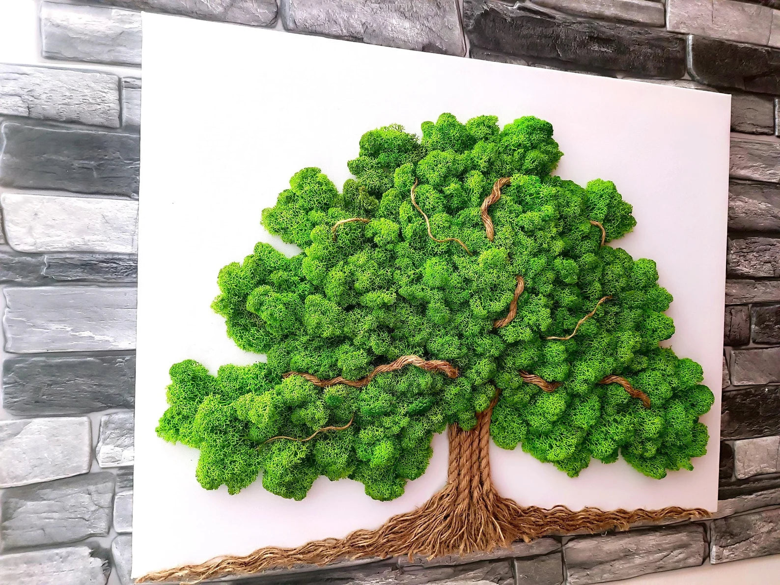 Tree of Life Moss Wall Art – Large 60×50 cm Wall Moss Decor with Stabilized Reindeer Moss – Zen Living Picture