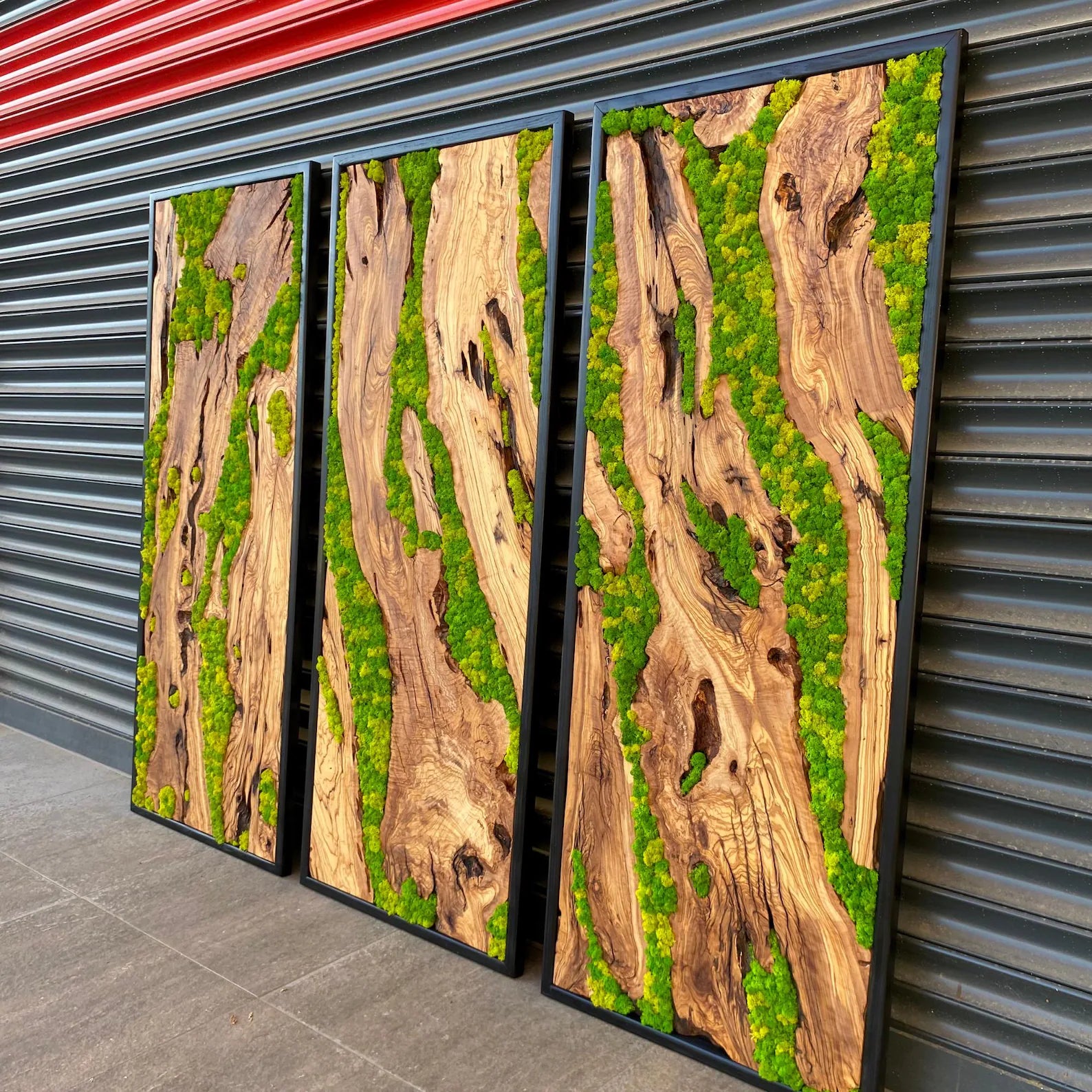 Green Moss Wall Art – Preserved Moss and Olive Wood Nature Wall Hanging